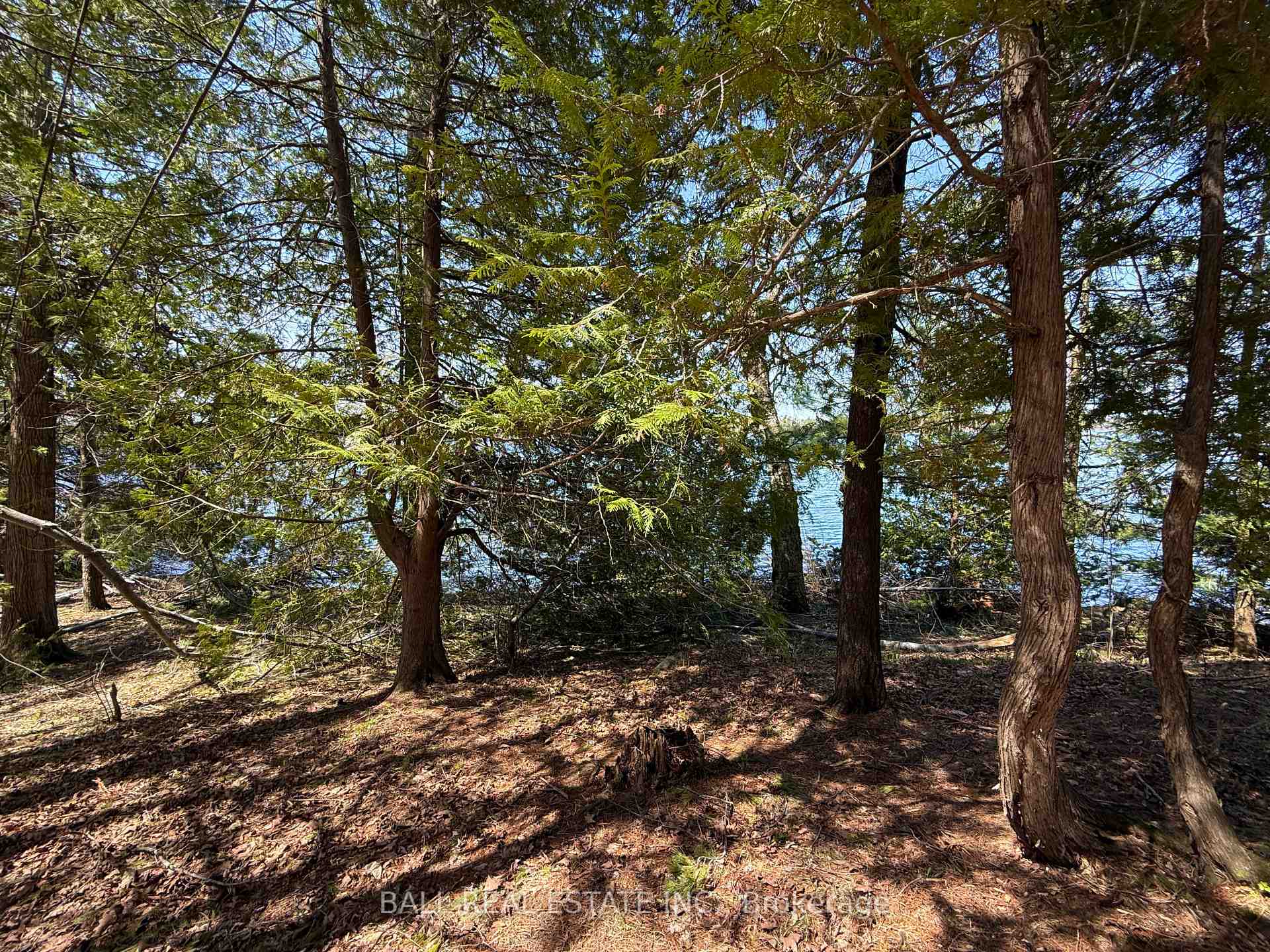 Photo 30 of 534 Fisher Lane, Douro-Dummer — HOMEH