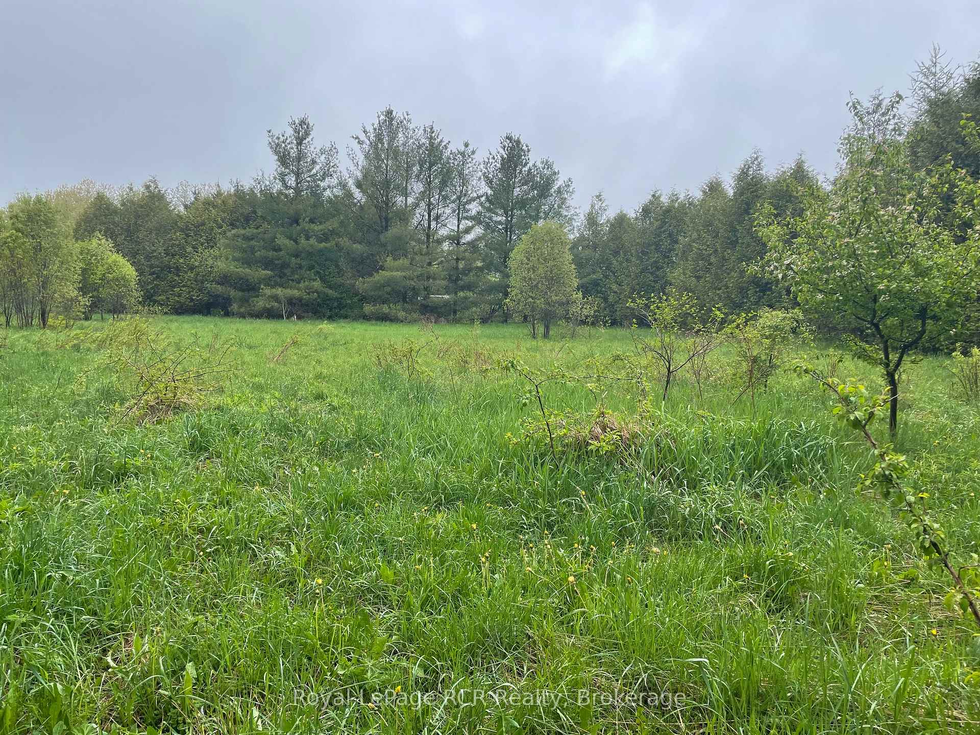 Photo 3 of Road 170, Grey Highlands — HOMEH