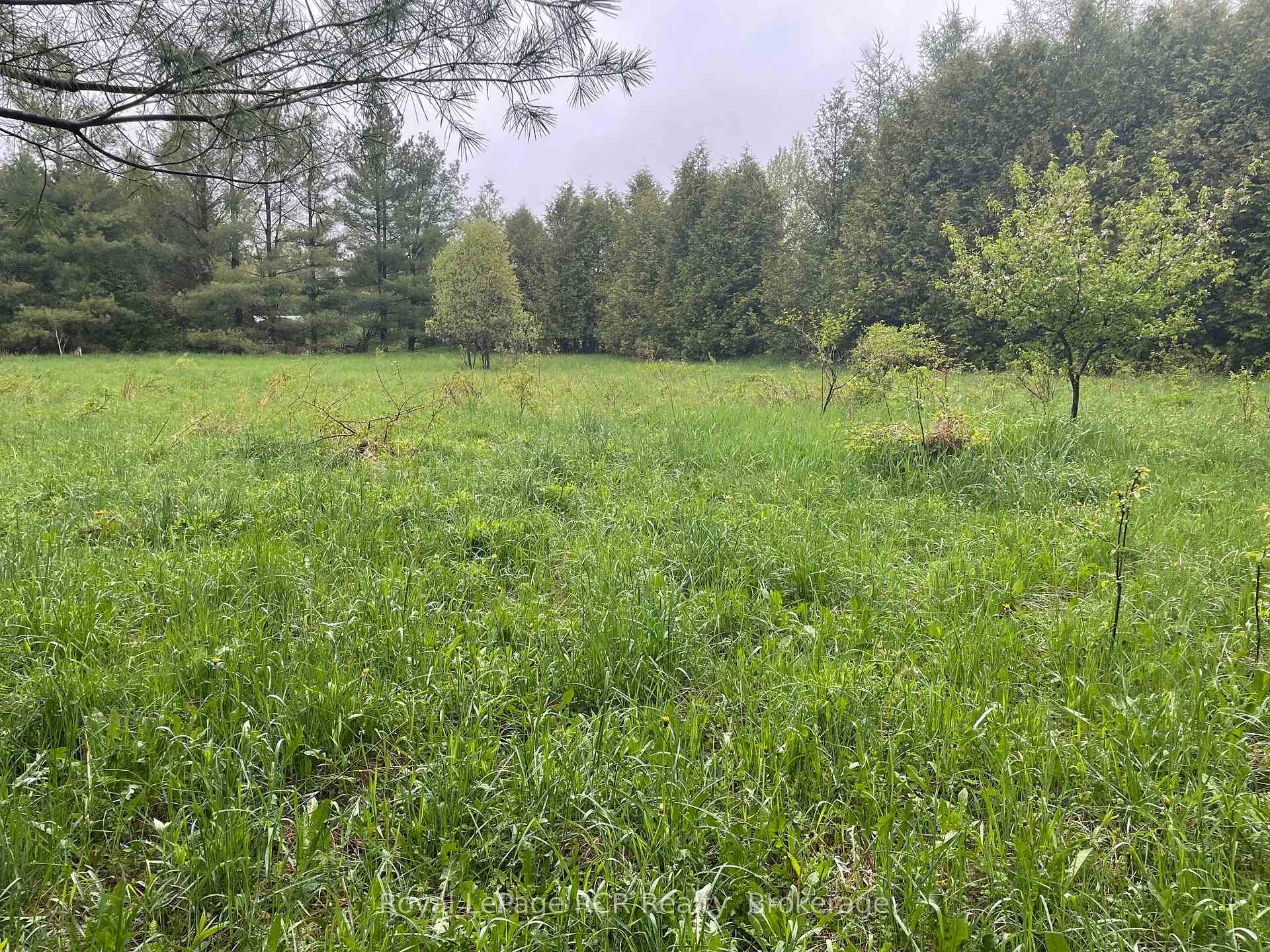 Photo 7 of Road 170, Grey Highlands — HOMEH