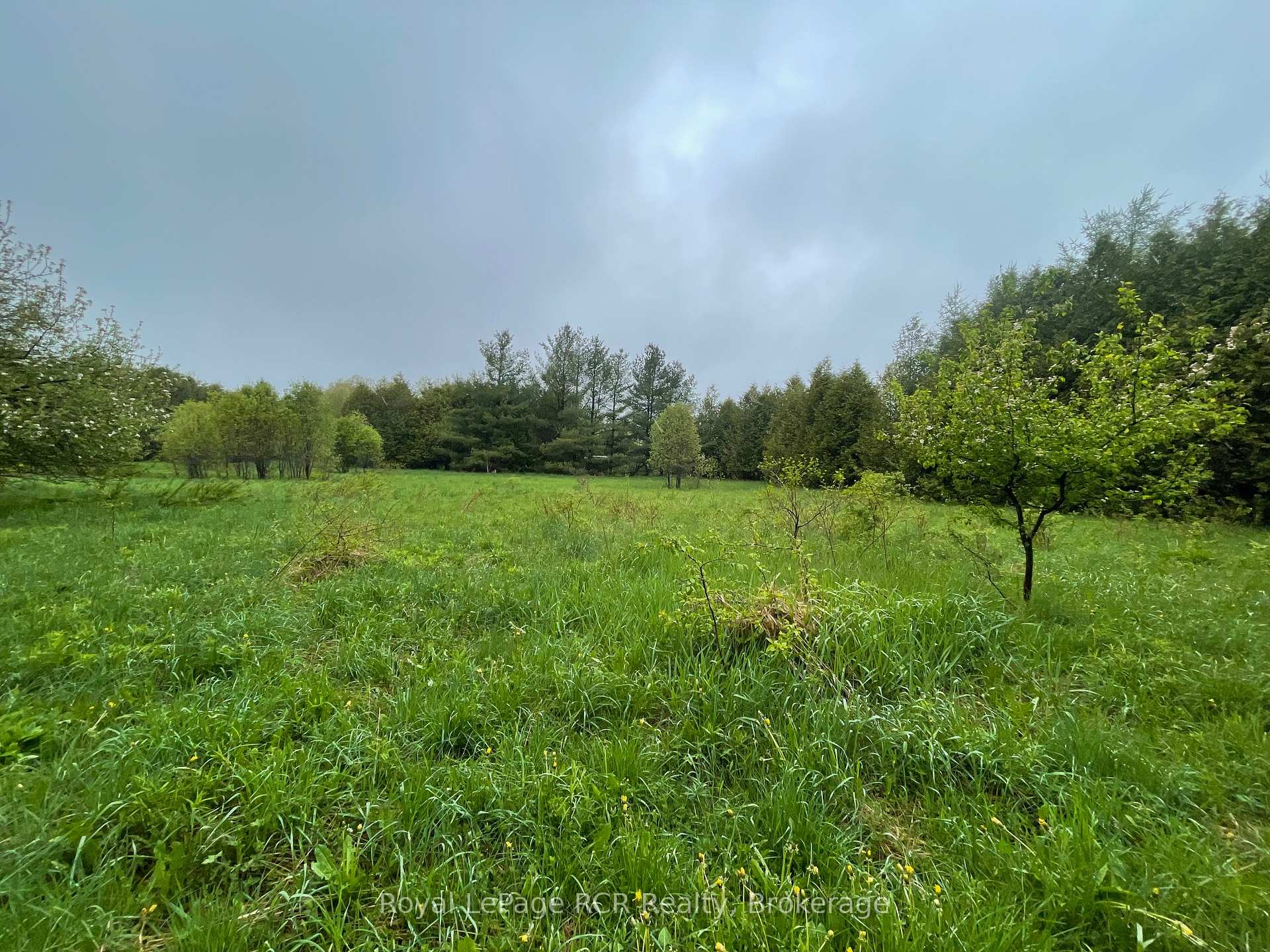 Photo 2 of Road 170, Grey Highlands — HOMEH