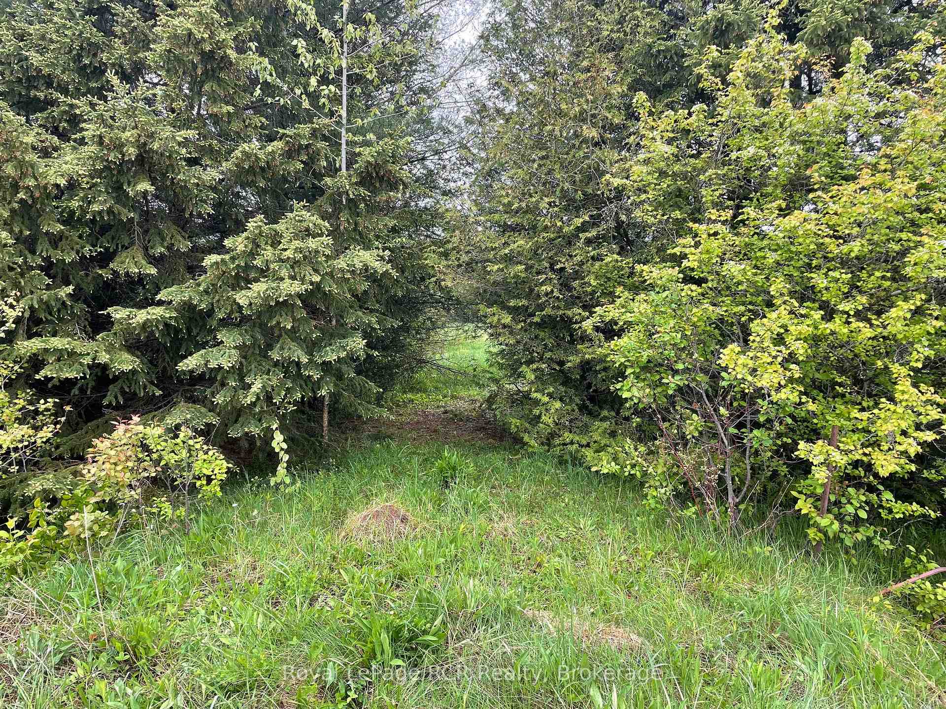 Photo 5 of Road 170, Grey Highlands — HOMEH