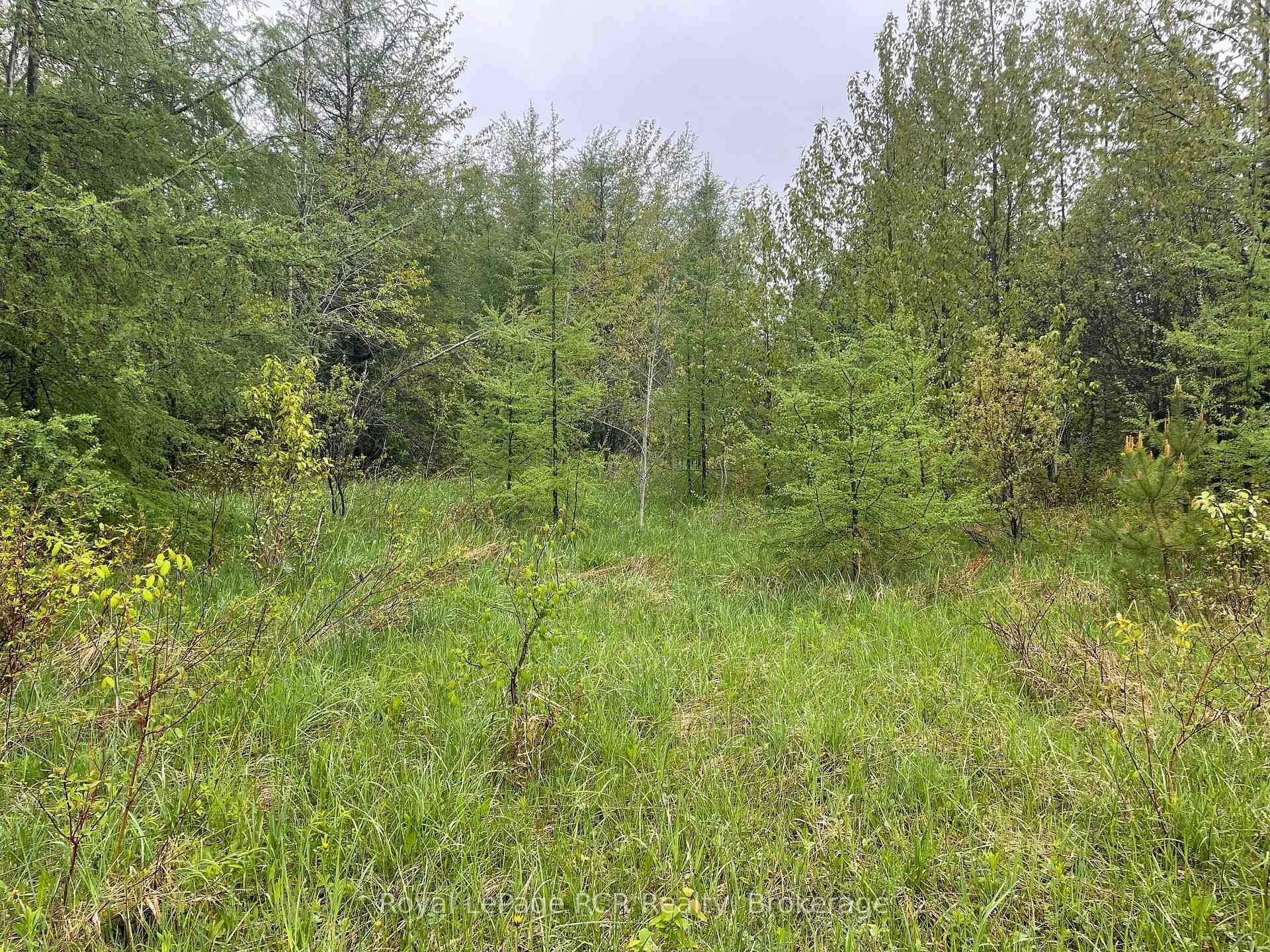 Photo 6 of Road 170, Grey Highlands — HOMEH