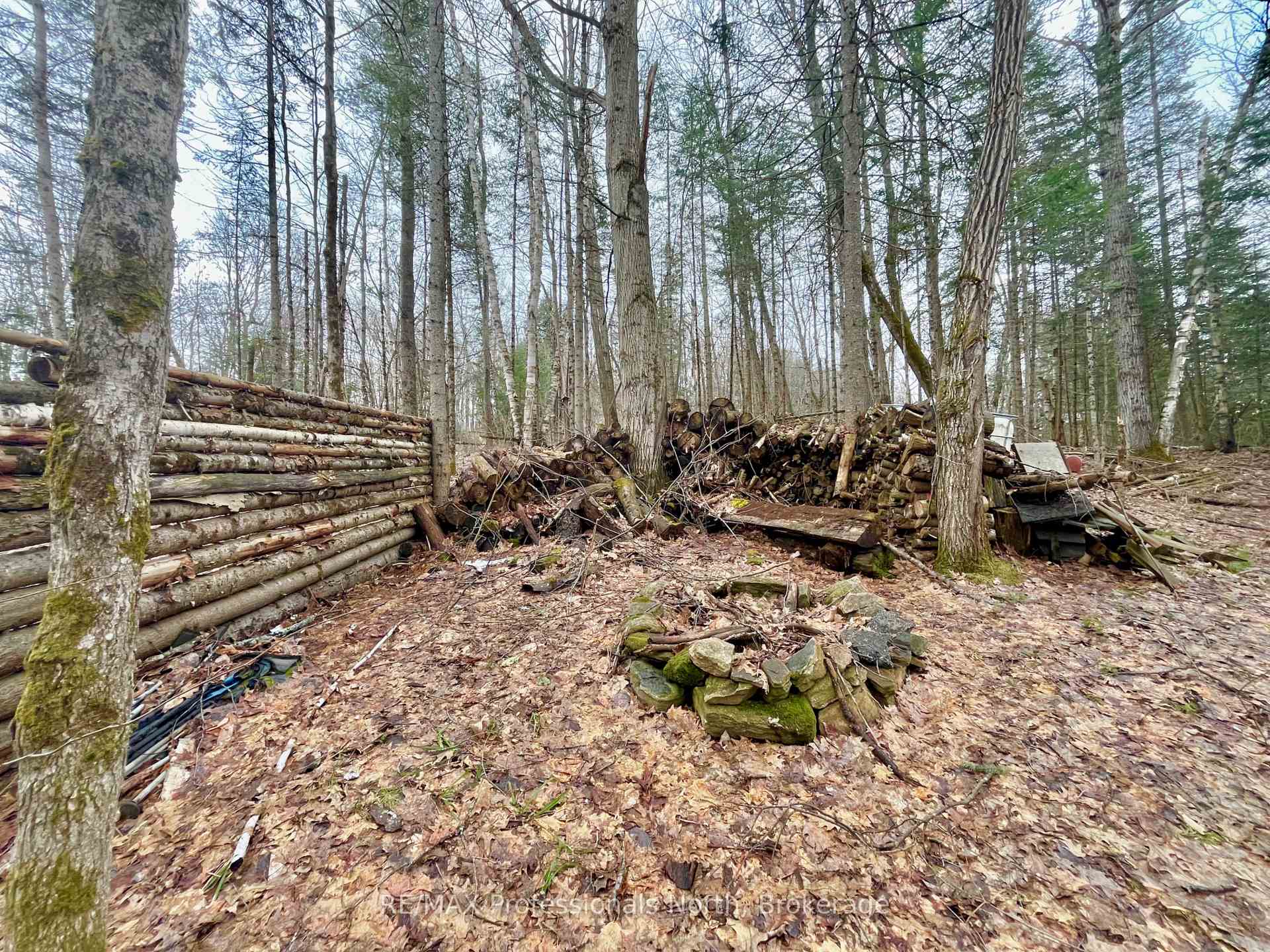 Photo 11 of Ransley Road, Minden Hills, Minden — HOMEH