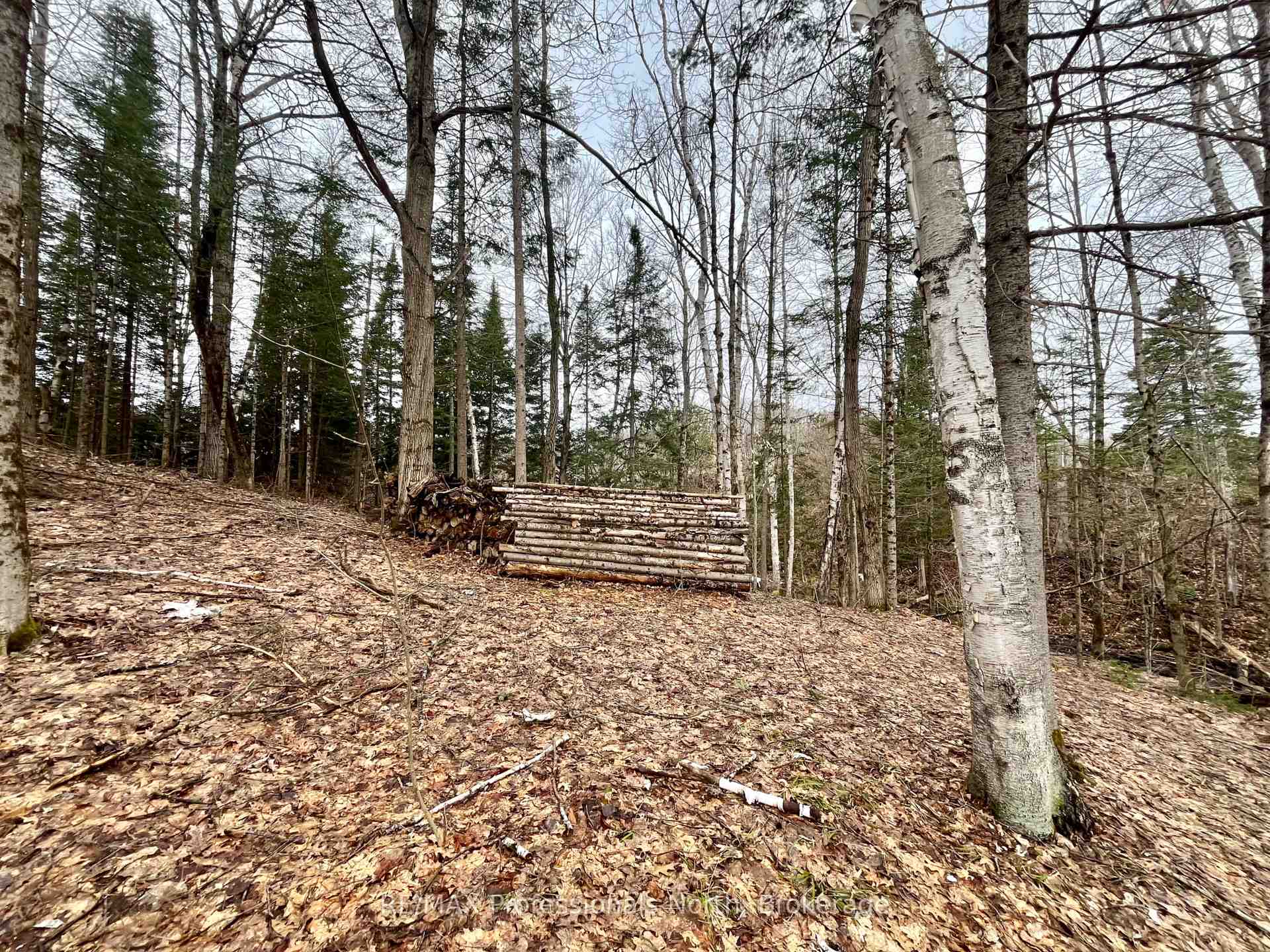 Photo 12 of Ransley Road, Minden Hills, Minden — HOMEH