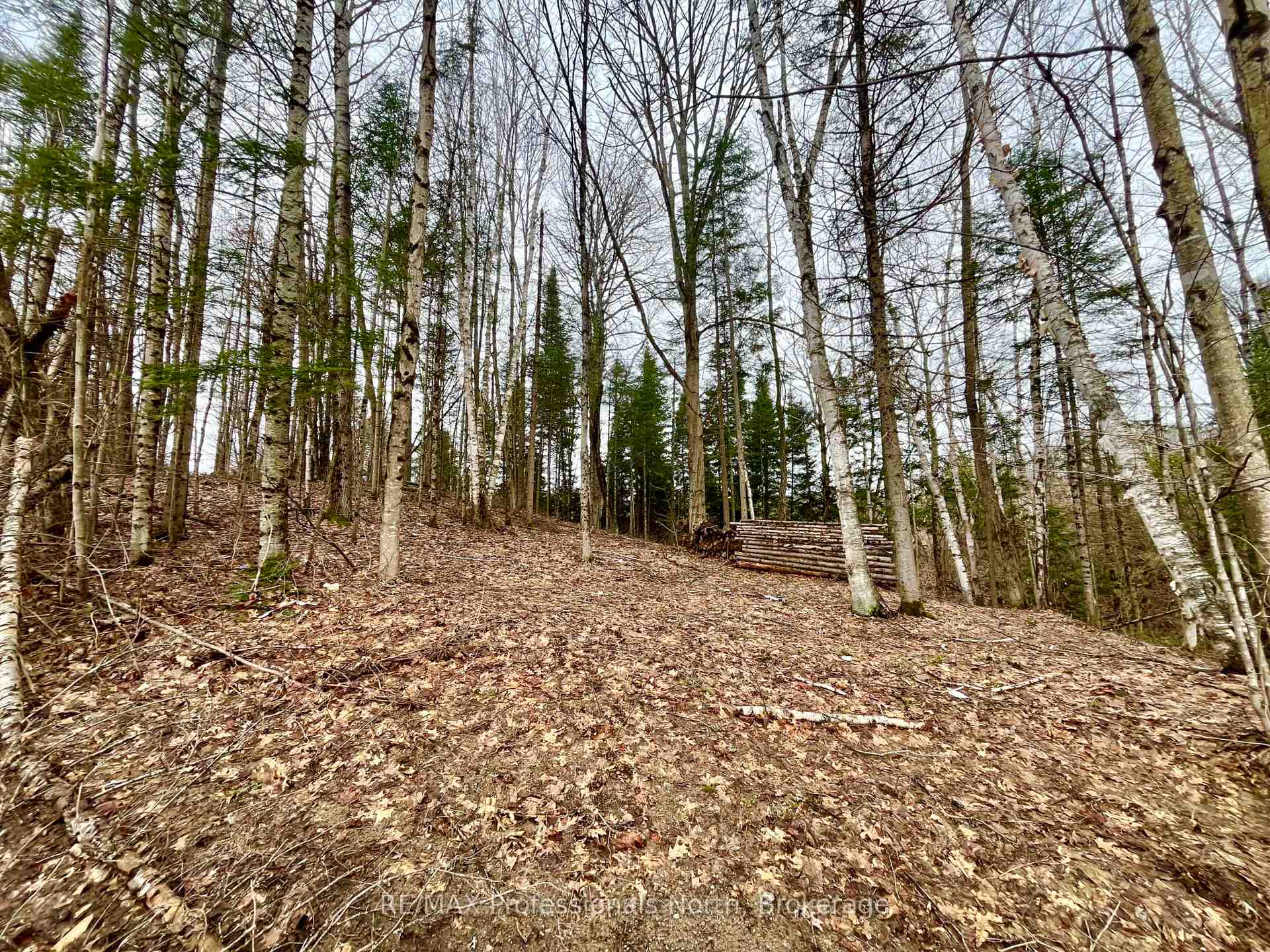 Photo 15 of Ransley Road, Minden Hills, Minden — HOMEH