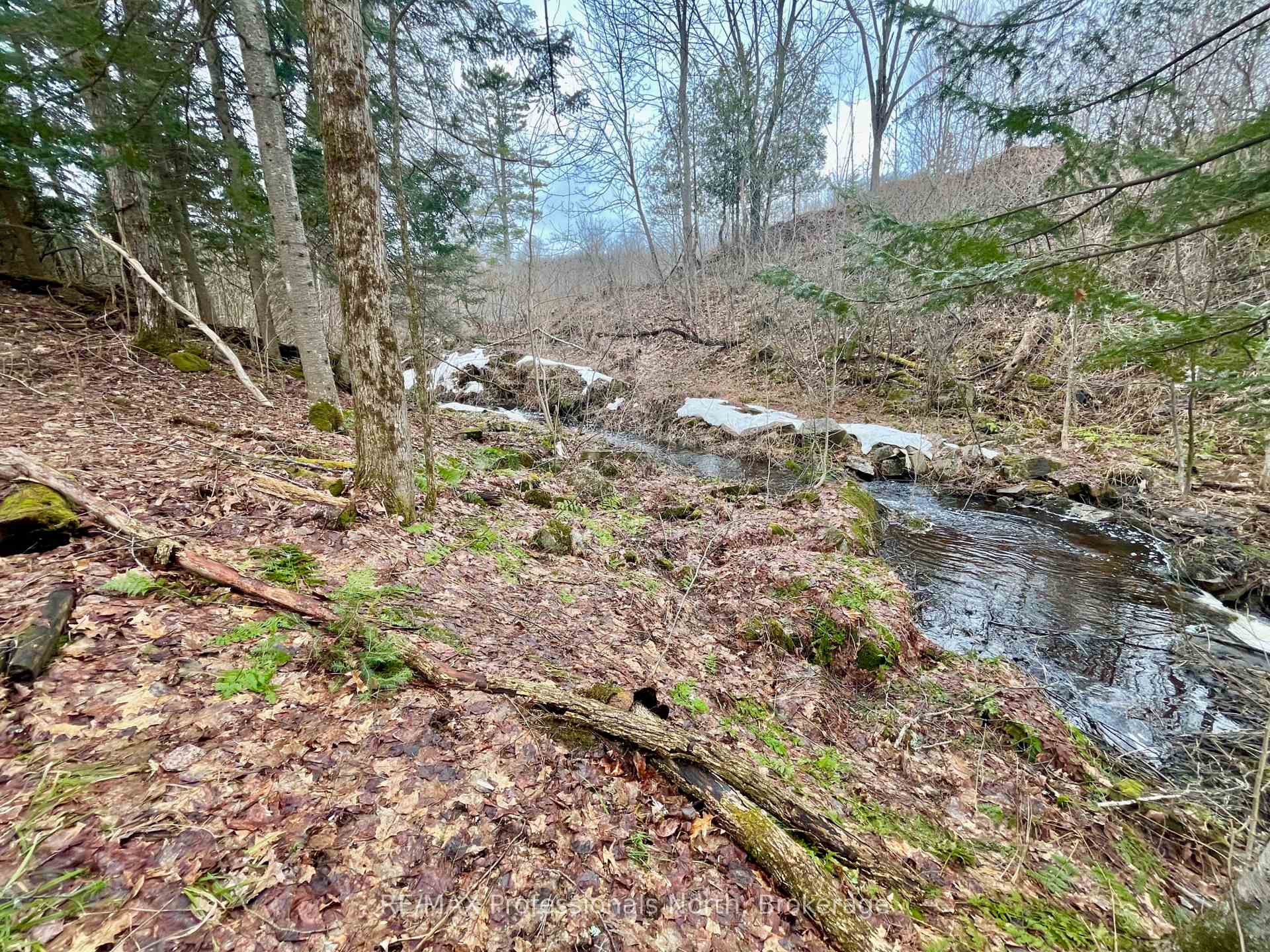 Photo 14 of Ransley Road, Minden Hills, Minden — HOMEH