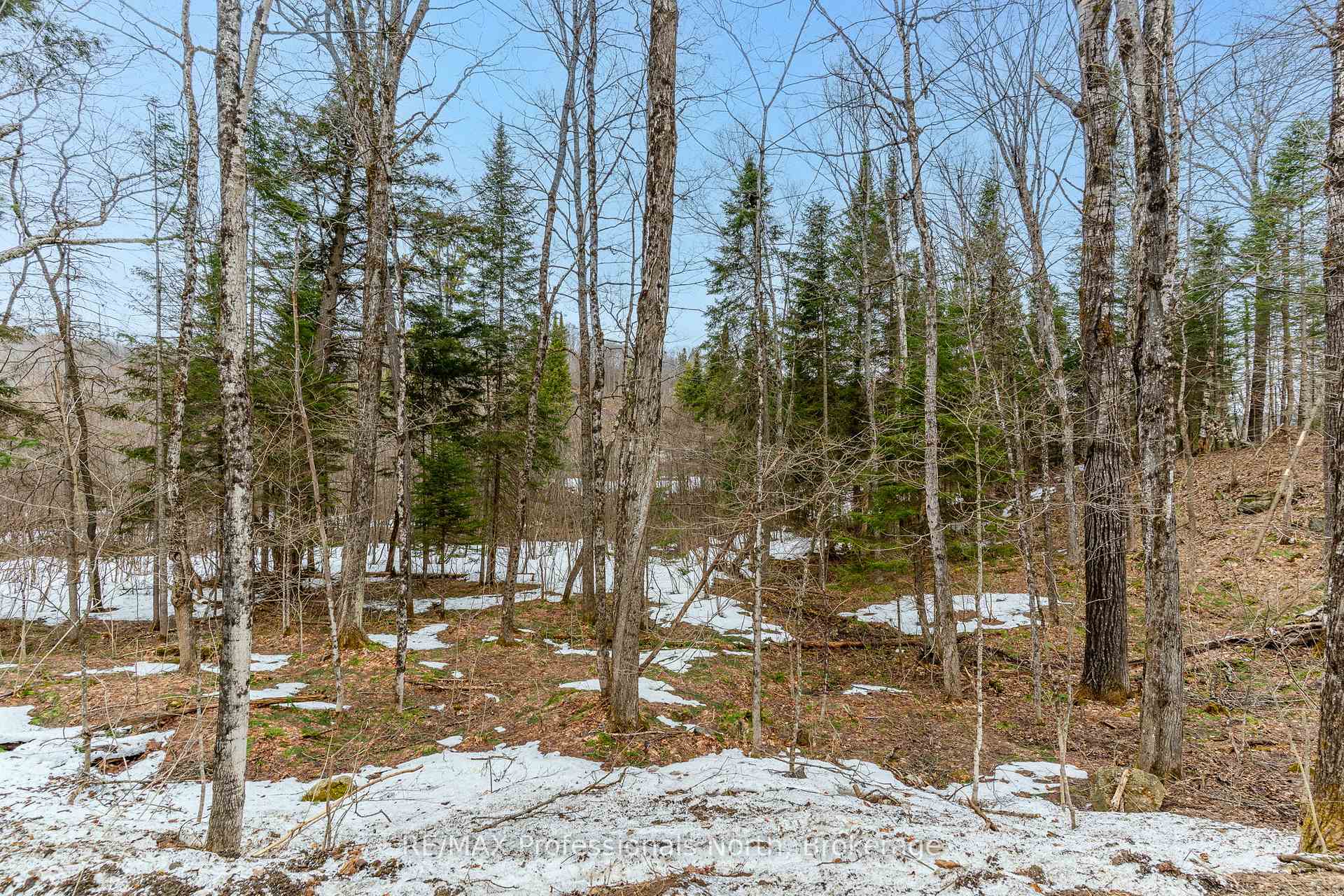 Photo 25 of Ransley Road, Minden Hills, Minden — HOMEH