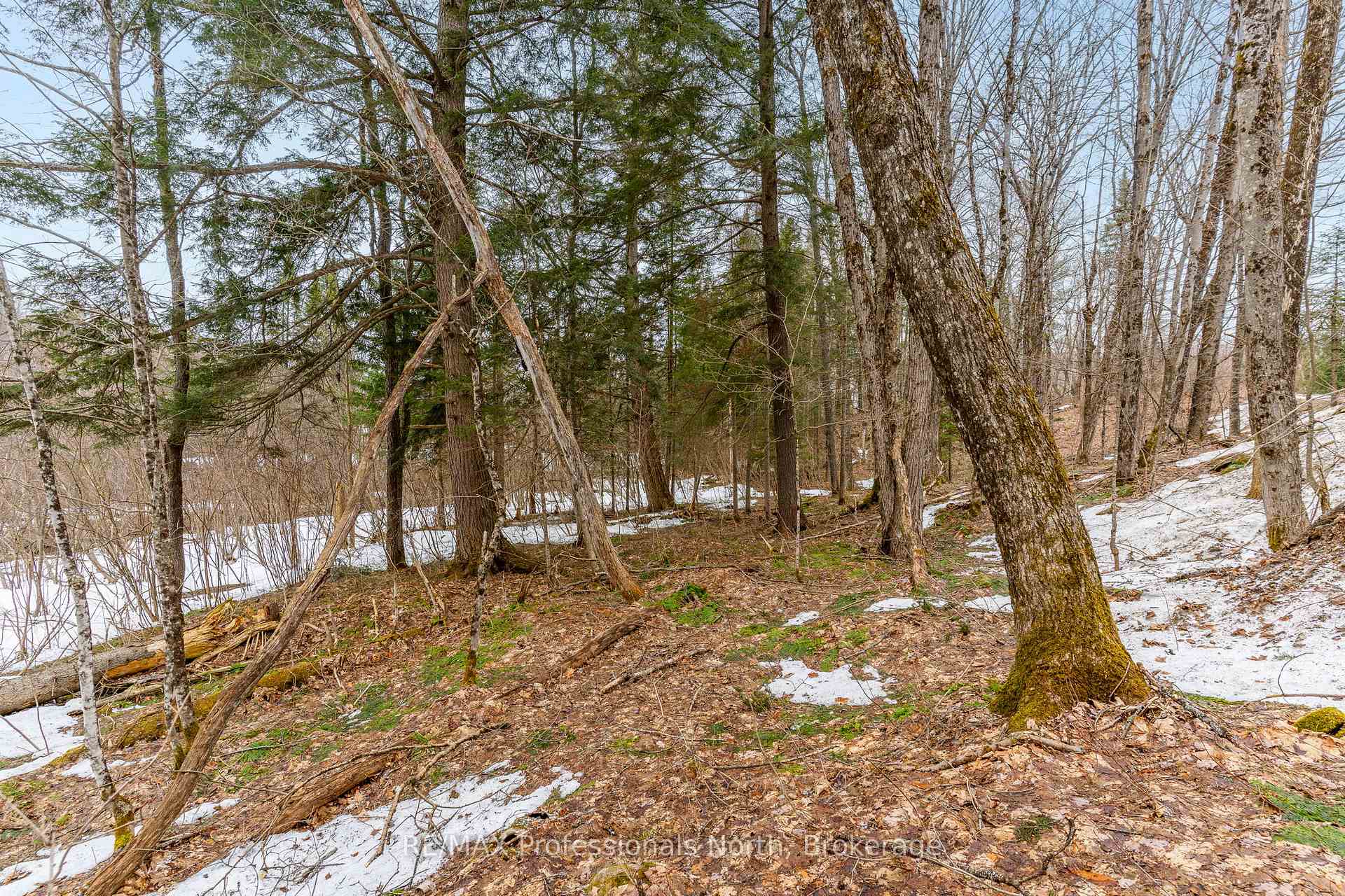 Photo 31 of Ransley Road, Minden Hills, Minden — HOMEH