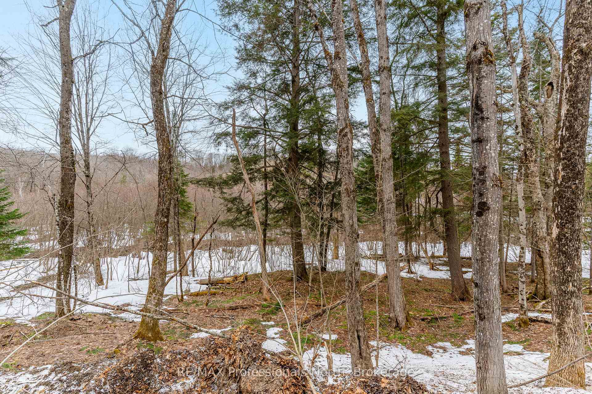 Photo 35 of Ransley Road, Minden Hills, Minden — HOMEH
