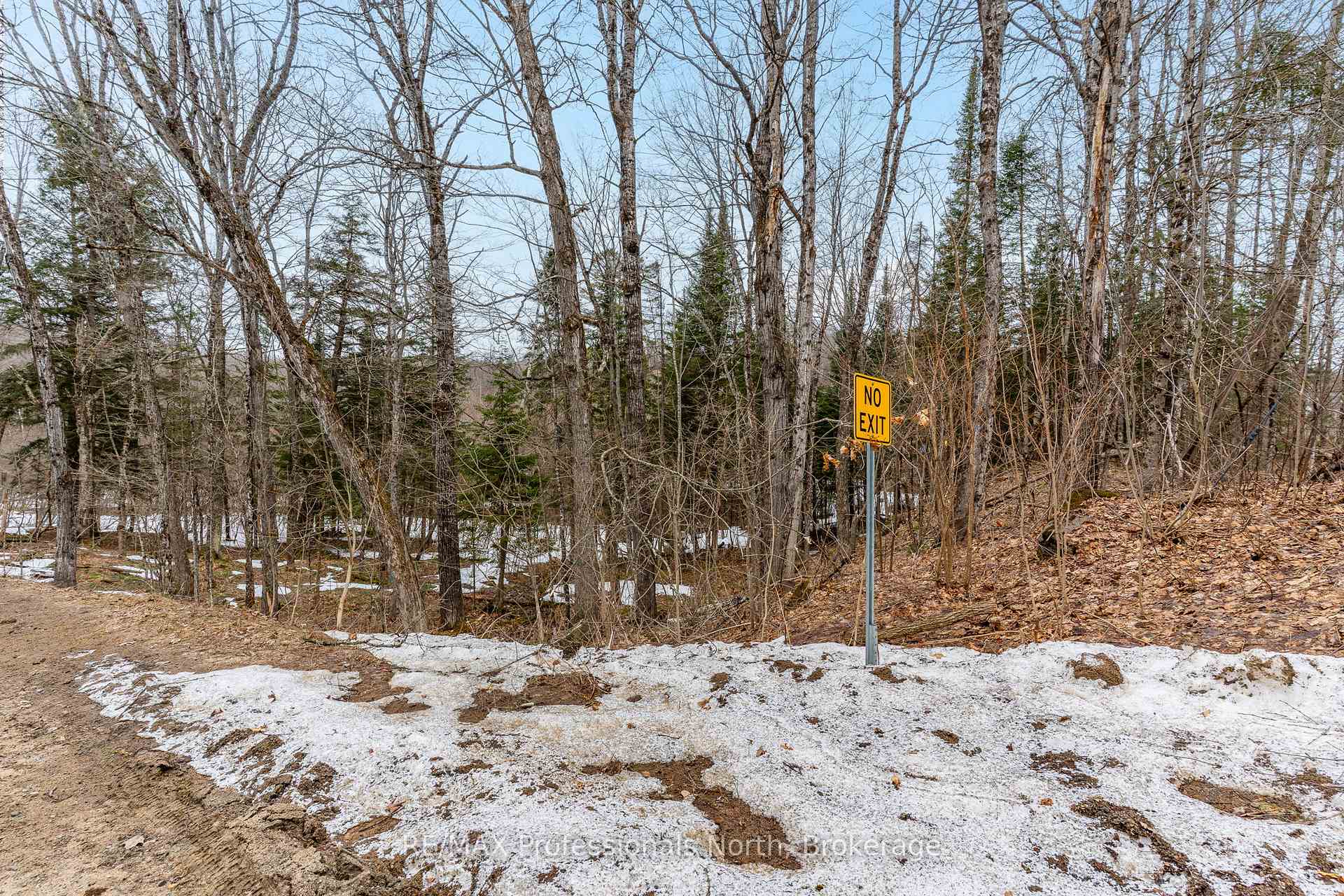 Photo 26 of Ransley Road, Minden Hills, Minden — HOMEH