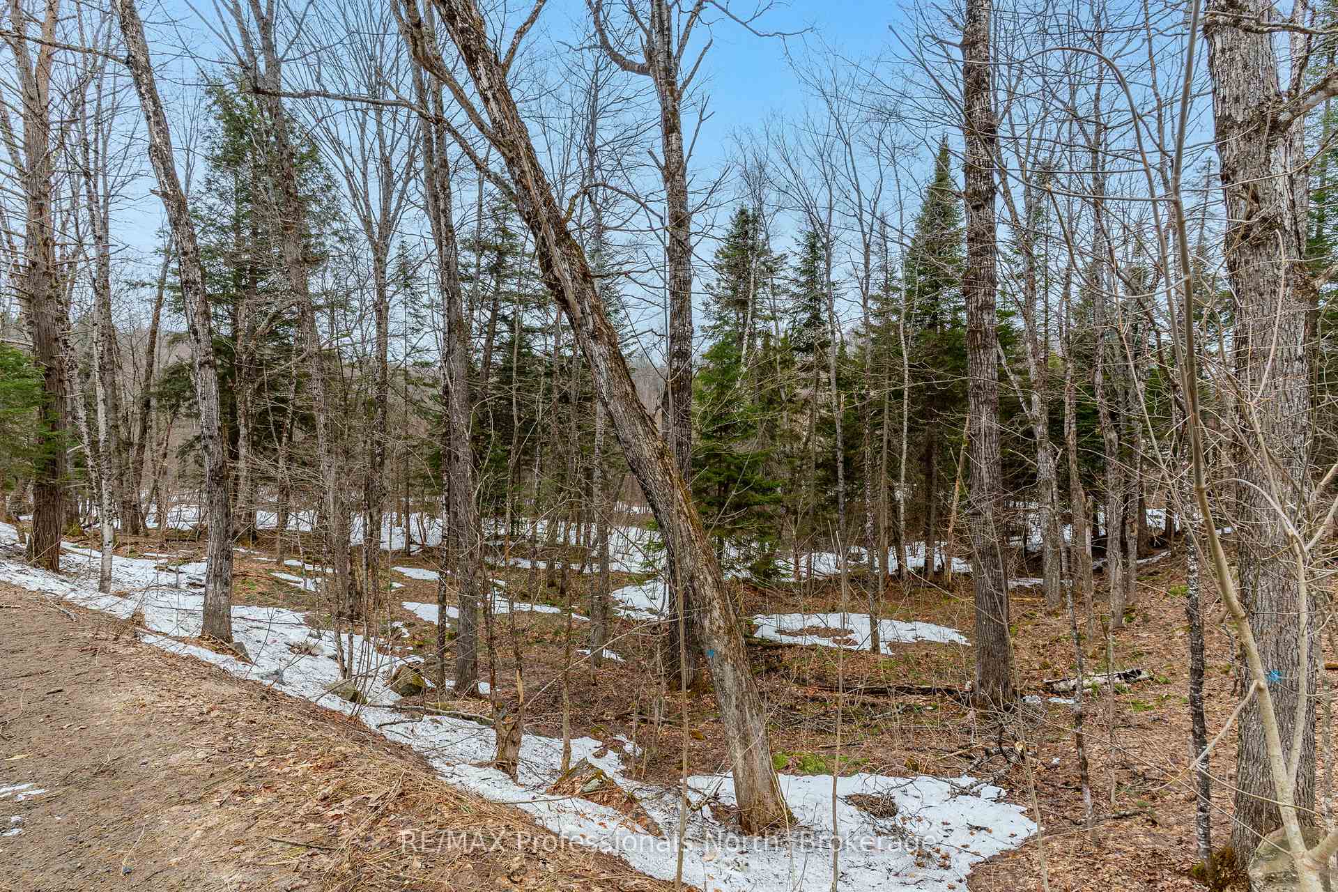 Photo 27 of Ransley Road, Minden Hills, Minden — HOMEH
