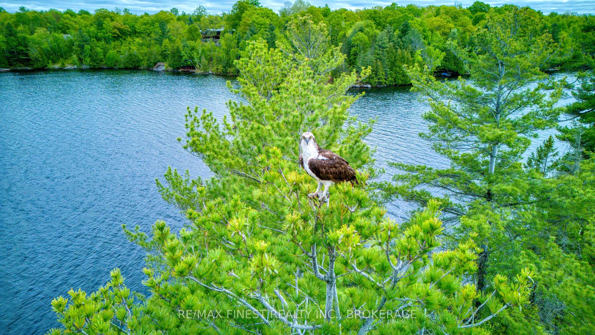 Photo 46 of 681 Charlotte Island, Frontenac, Frontenac Centre — HOMEH
