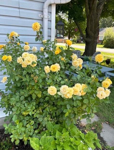 Photo 11 of 93 Liberty Street S, Clarington, Bowmanville — HOMEH