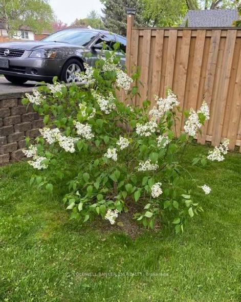 Photo 12 of 93 Liberty Street S, Clarington, Bowmanville — HOMEH