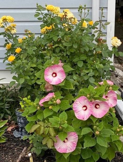 Photo 29 of 93 Liberty Street S, Clarington, Bowmanville — HOMEH