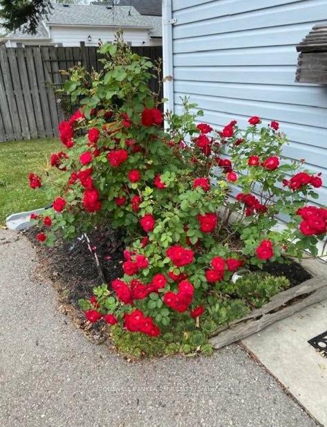 Photo 22 of 93 Liberty Street S, Clarington, Bowmanville — HOMEH