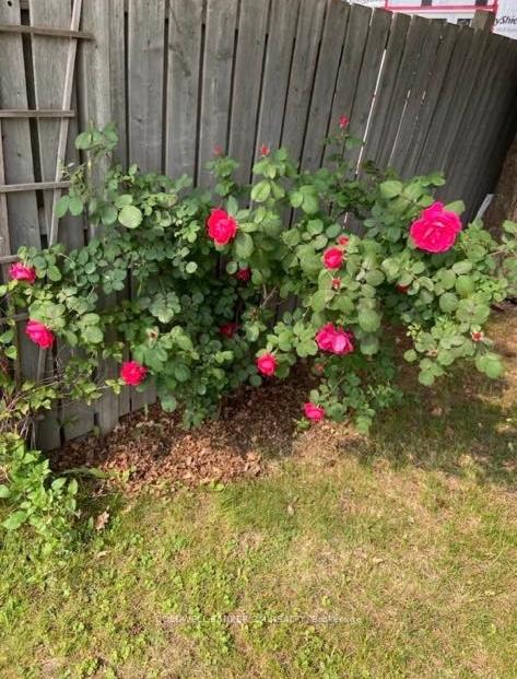 Photo 21 of 93 Liberty Street S, Clarington, Bowmanville — HOMEH