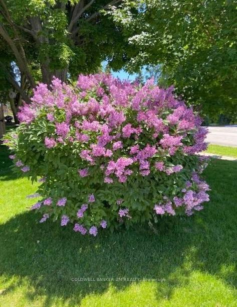Photo 26 of 93 Liberty Street S, Clarington, Bowmanville — HOMEH