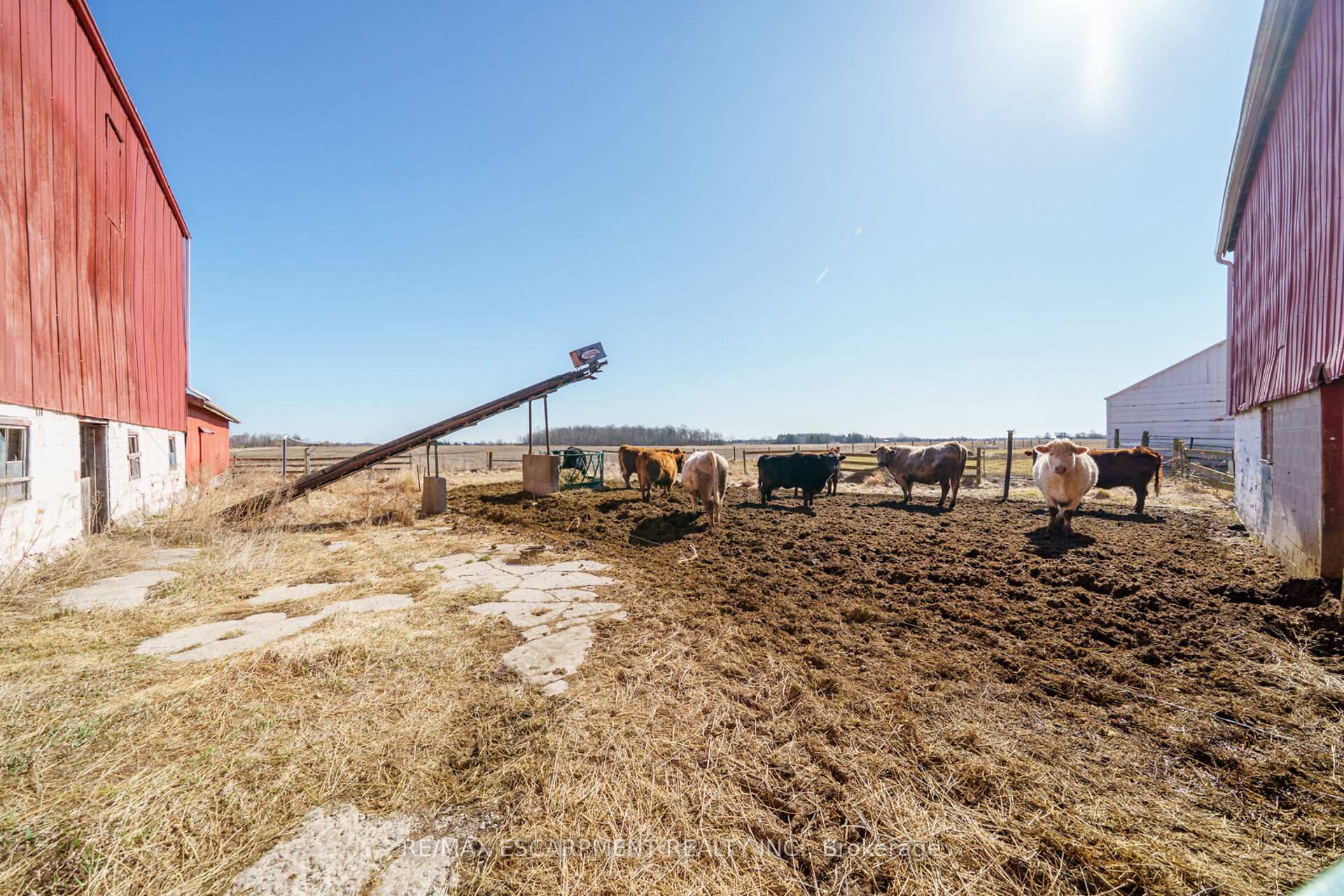 Photo 12 of 3412 Young Road, Haldimand — HOMEH