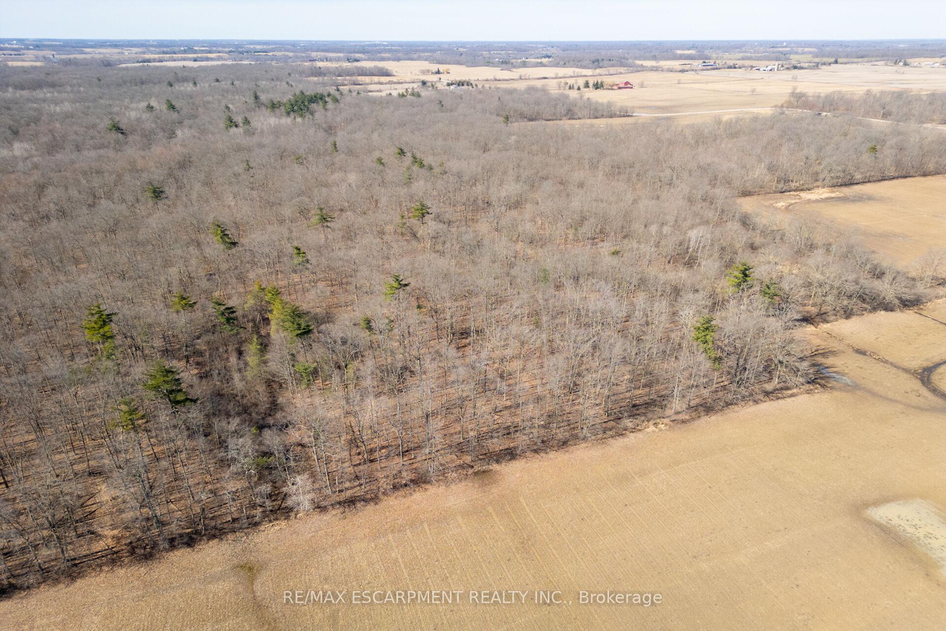Photo 39 of 3412 Young Road, Haldimand — HOMEH