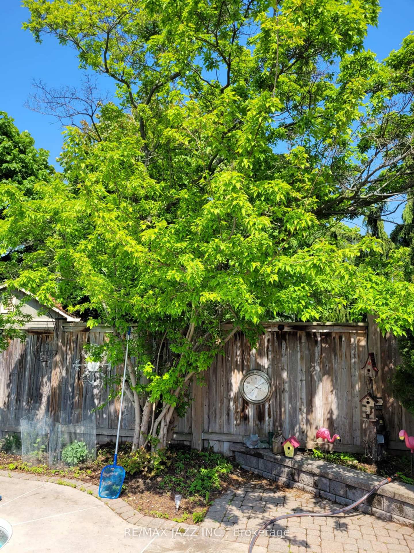 Photo 44 of 8 Irwin Drive, Whitby, Downtown Whitby — HOMEH