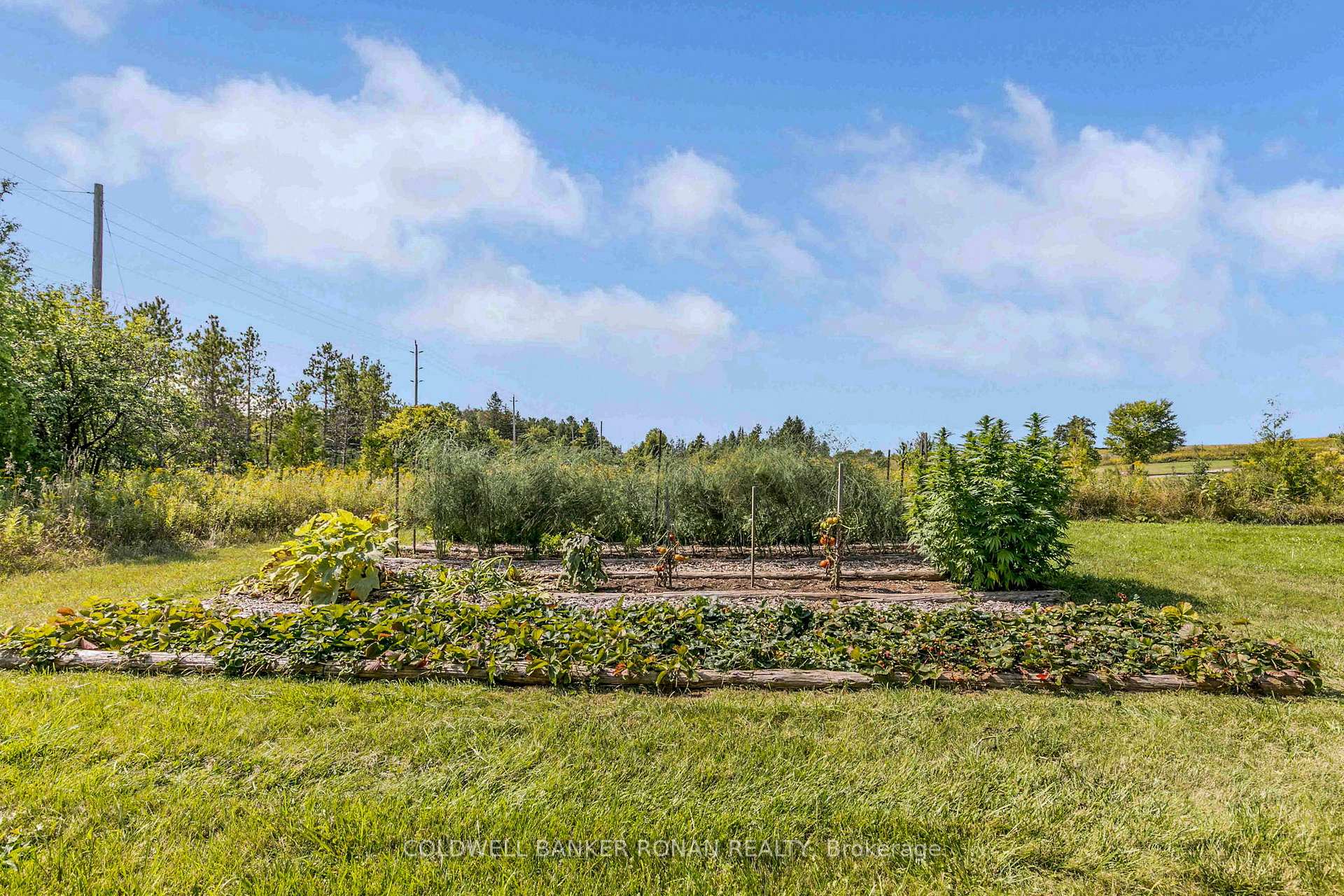 Photo 36 of 6872 7th Line, New Tecumseth, Rural New Tecumseth — HOMEH
