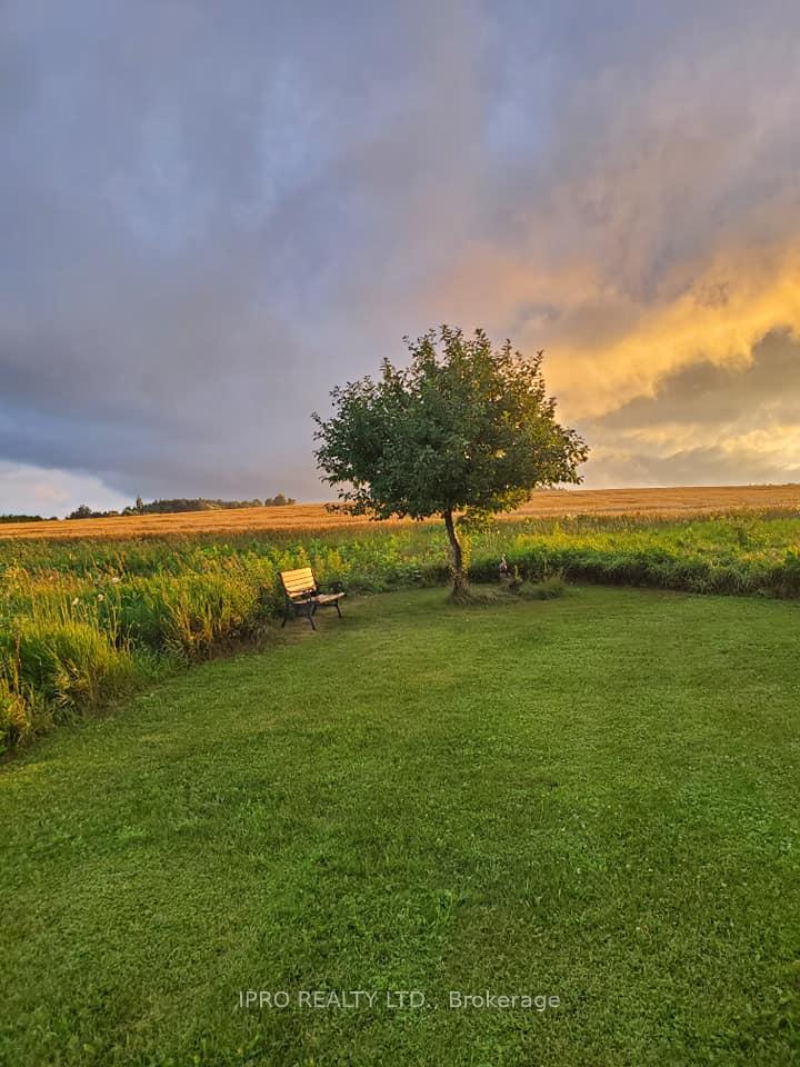 Photo 11 of 513506 2nd Line, Amaranth, Rural Amaranth — HOMEH