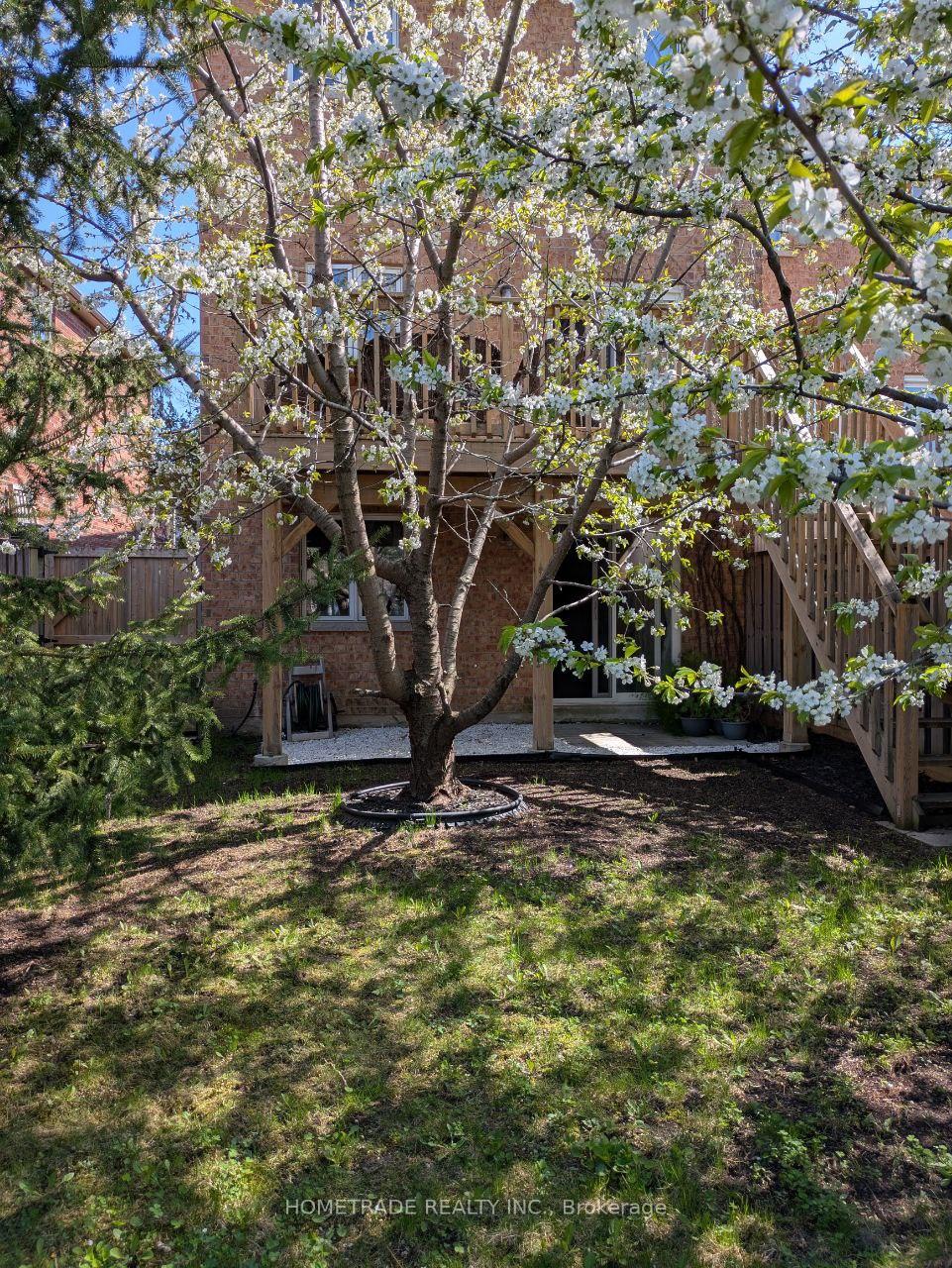 Photo 13 of 127 Carrier Crescent, Vaughan, Patterson — HOMEH