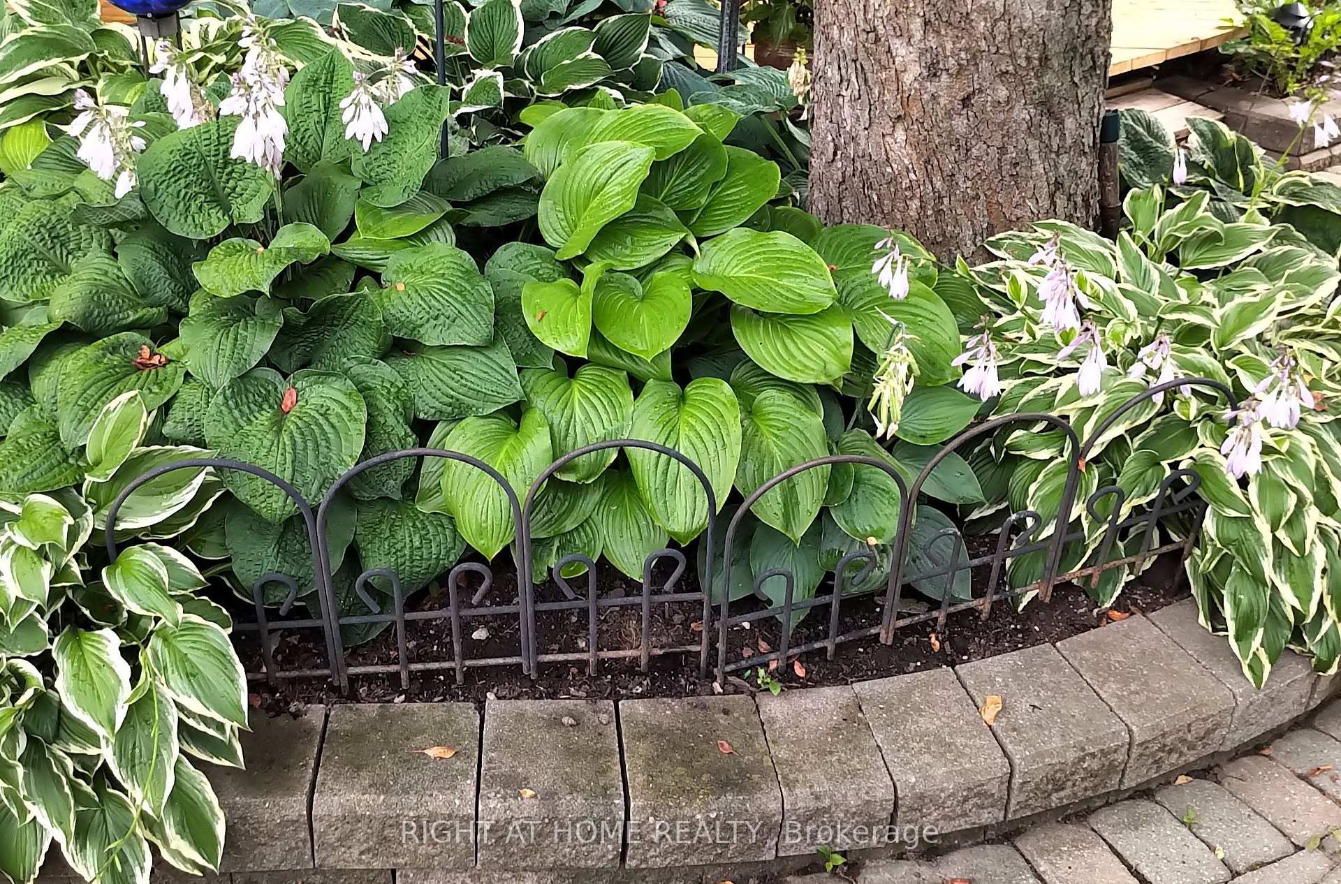 Photo 31 of 56 Carlton Road, Markham, Unionville — HOMEH