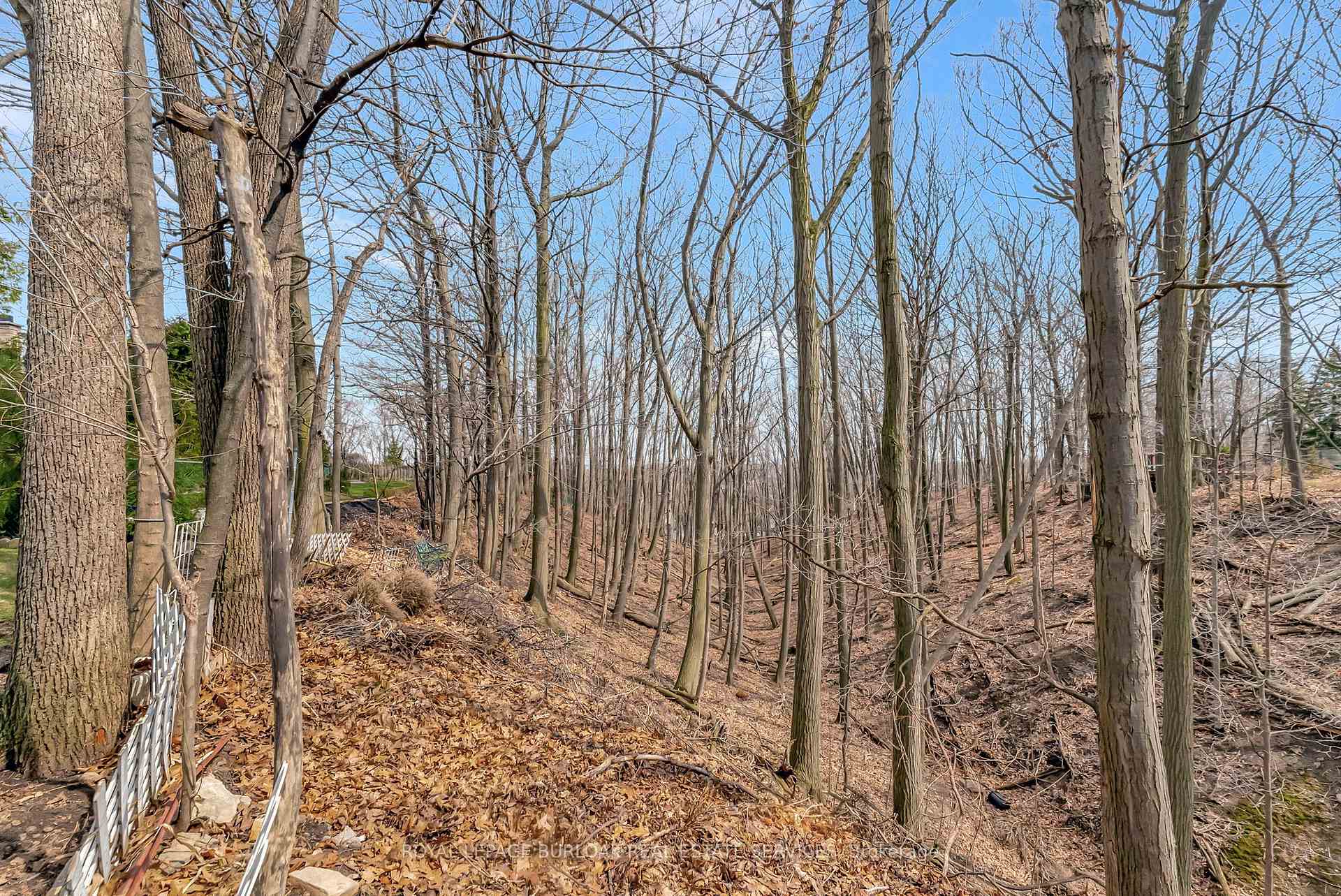 Photo 33 of 6 Alder Court, Hamilton, Stoney Creek — HOMEH