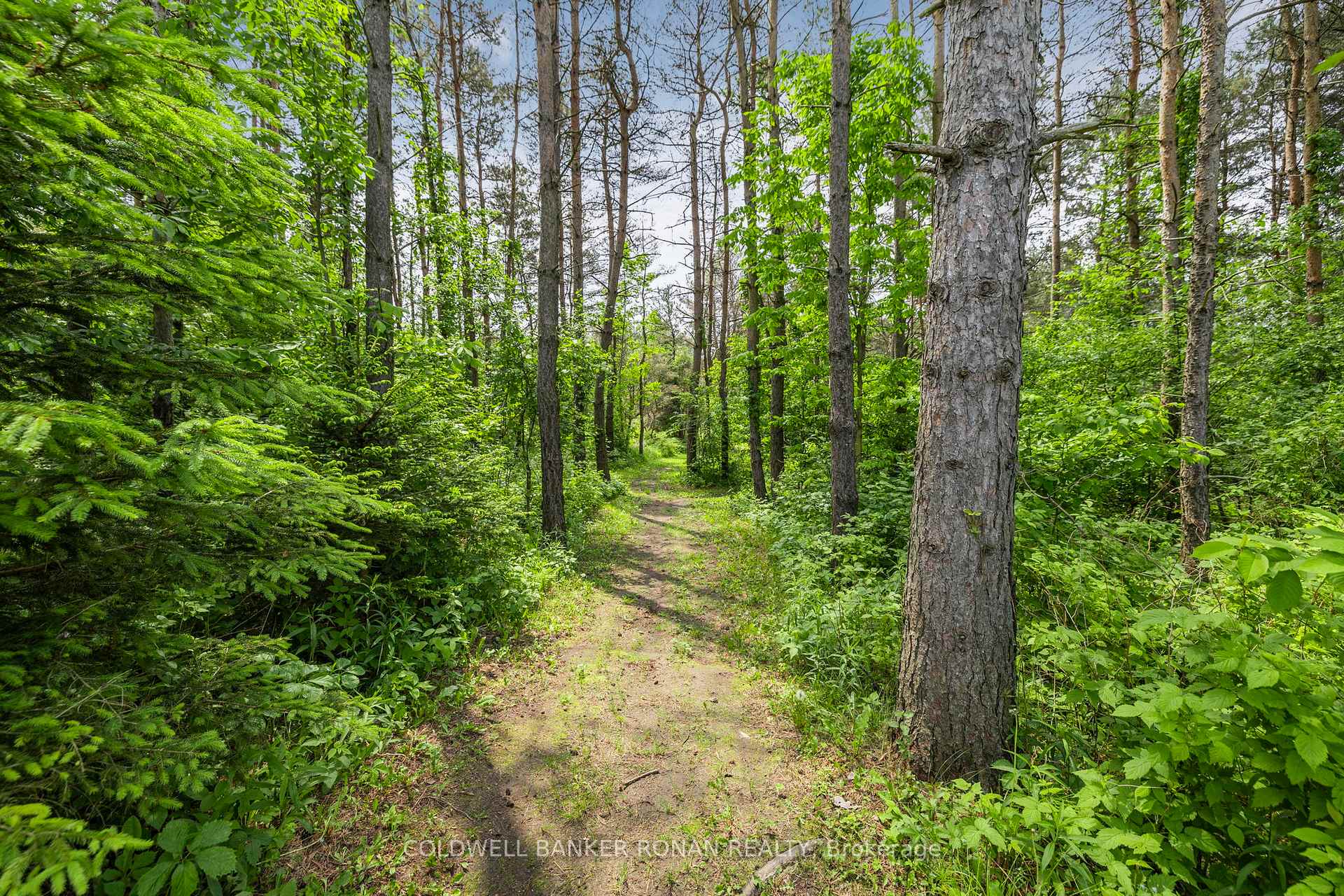 Photo 34 of 6511 2nd Line, New Tecumseth, Rural New Tecumseth — HOMEH