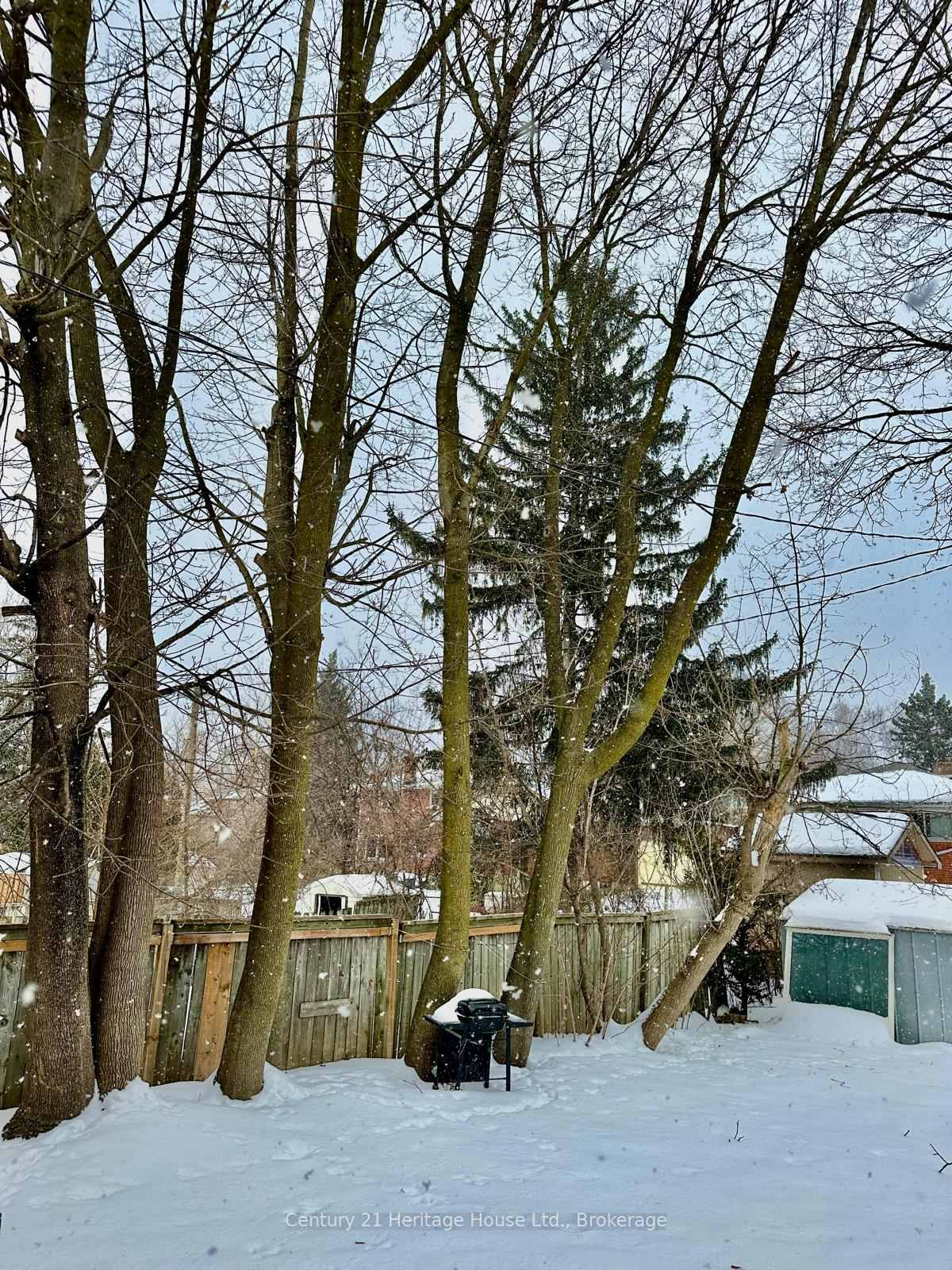 Photo 14 of 49B Marshall Street, Waterloo — HOMEH