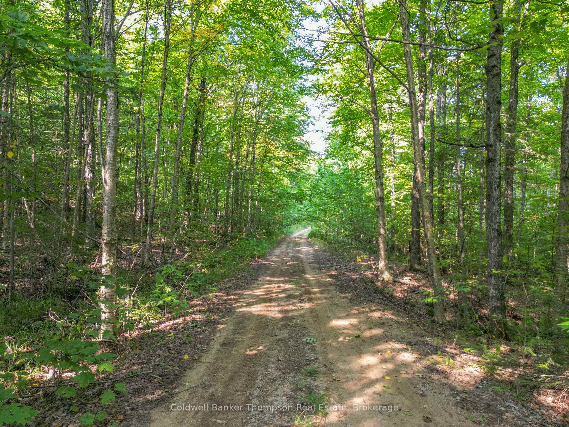 Photo 21 of 1461 Rain Lake Road, Kearney — HOMEH