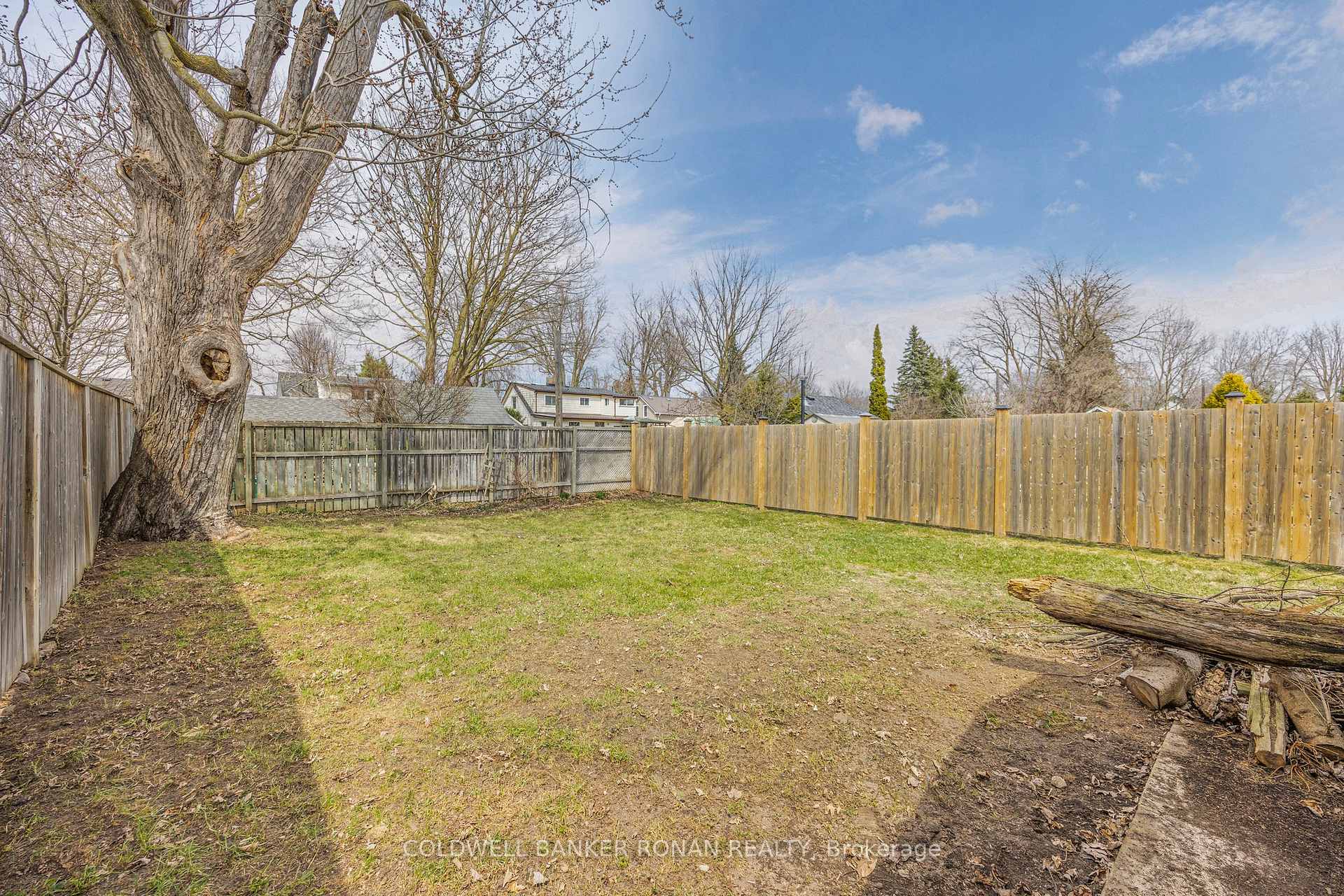 Photo 46 of 14 Albert Street E, New Tecumseth, Alliston — HOMEH