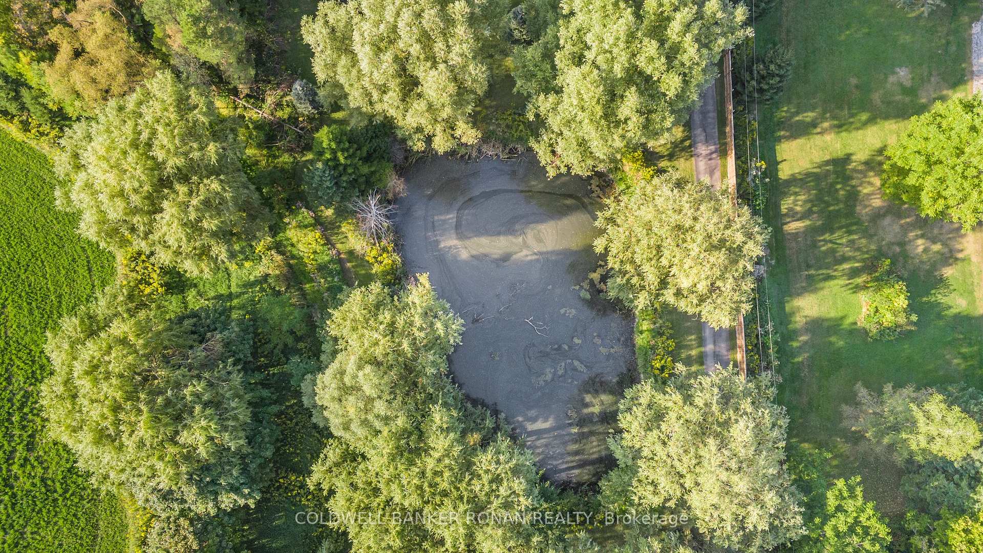 Photo 24 of 7020 6th Line, New Tecumseth, Tottenham — HOMEH