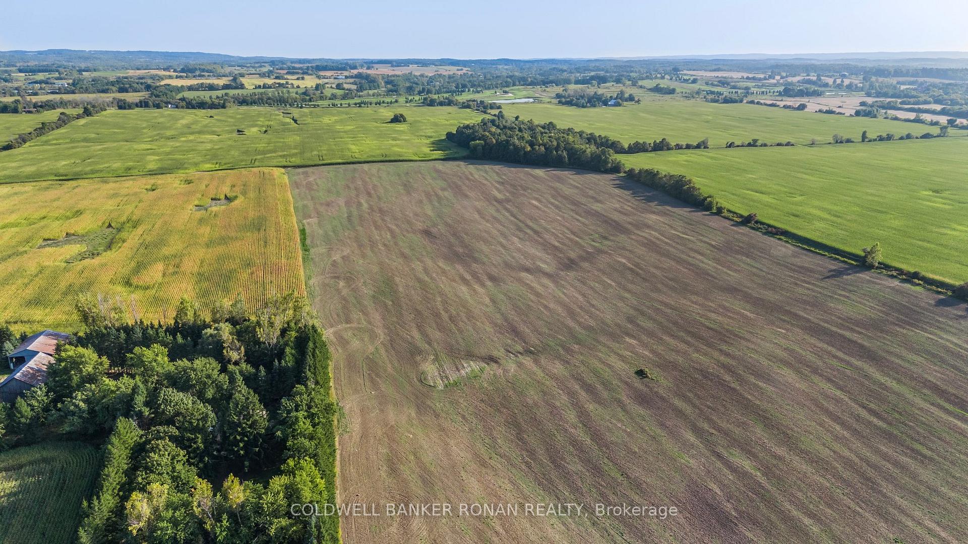 Photo 28 of 7020 6th Line, New Tecumseth, Tottenham — HOMEH