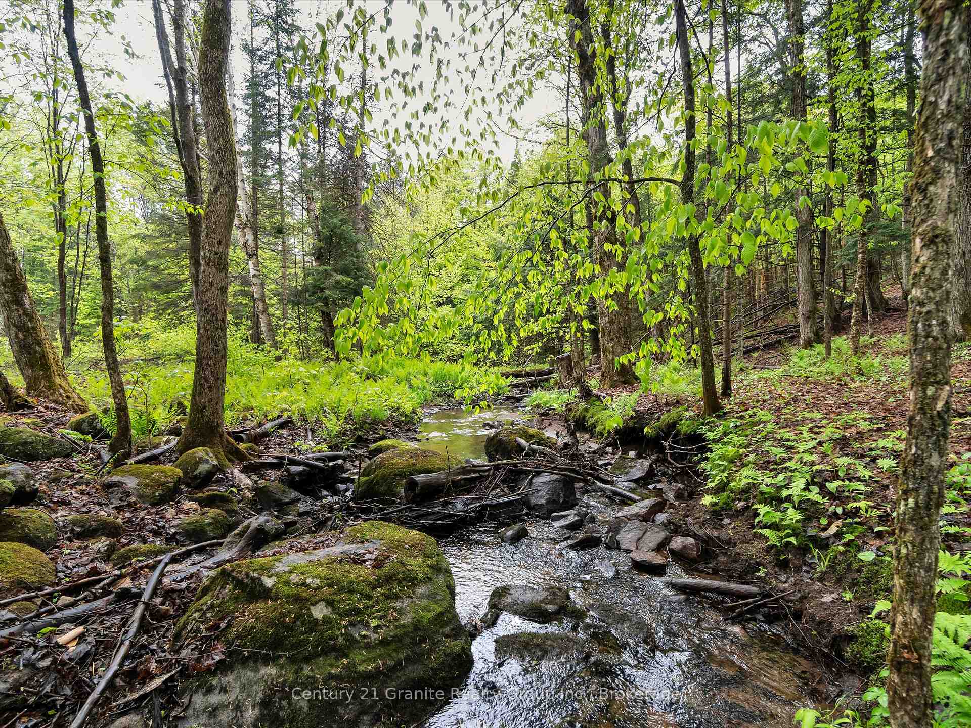 Photo 18 of 2302 Buckslide Road, Algonquin Highlands, Stanhope — HOMEH