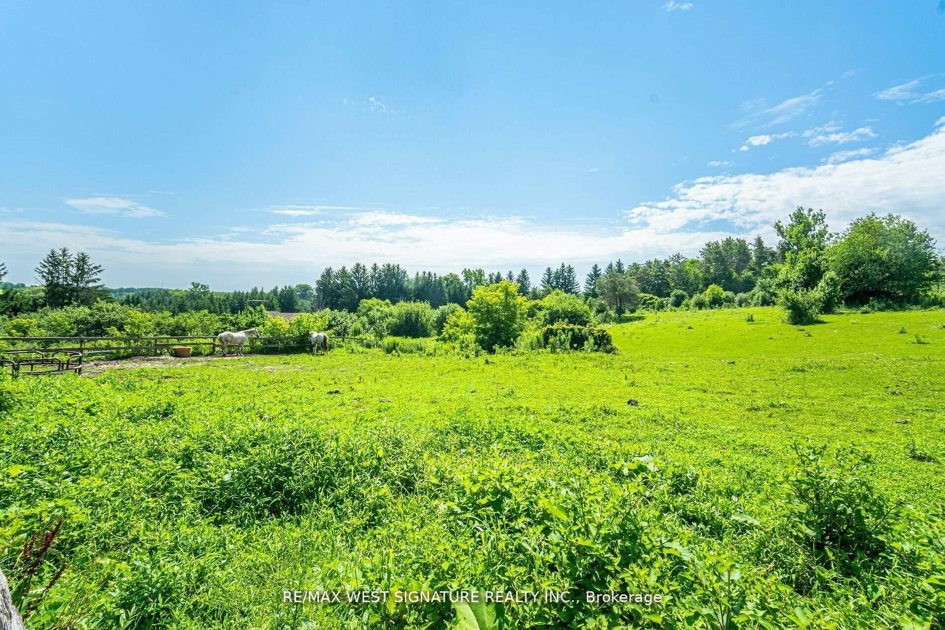 Photo 11 of 15670 Keele Street, King, Rural King — HOMEH