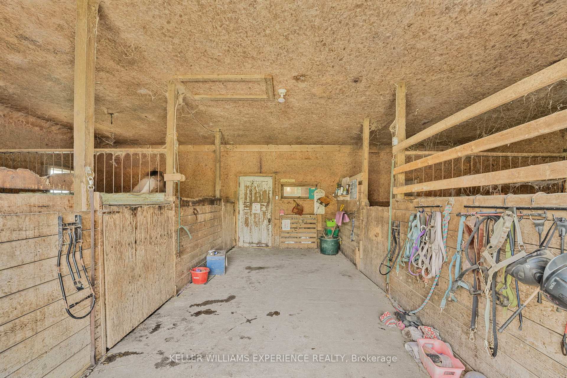 Photo 33 of 7106 County Road 56, Essa, Rural Essa — HOMEH