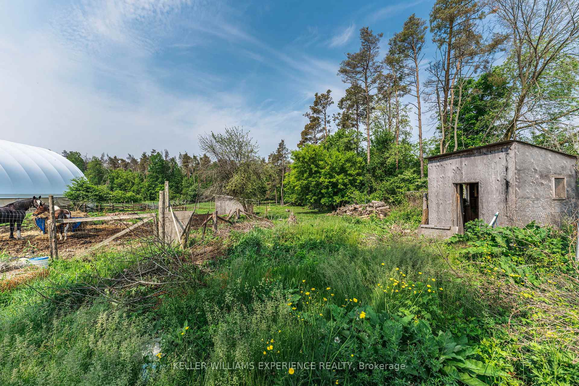Photo 36 of 7106 County Road 56, Essa, Rural Essa — HOMEH