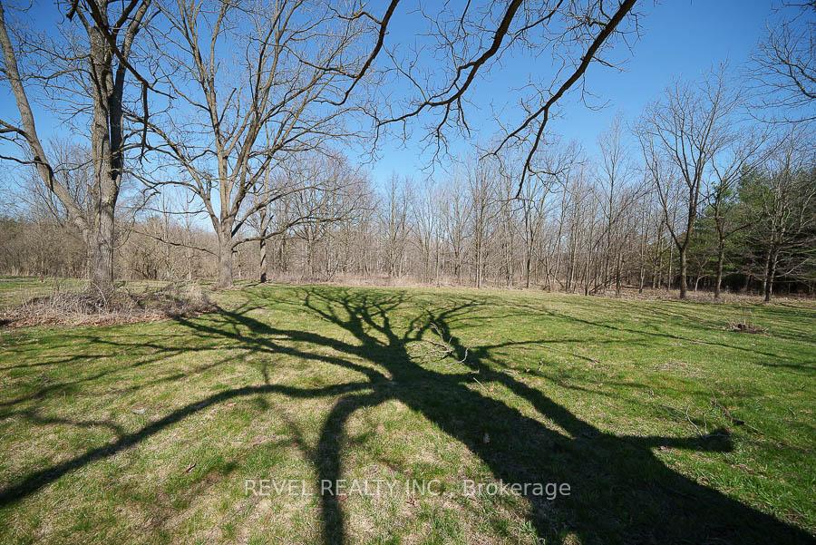 Photo 45 of 384 Blue Lake Road, Brant, South Dumfries — HOMEH