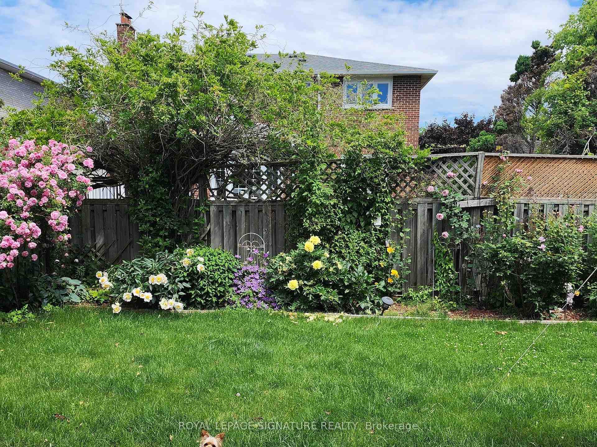 Photo 39 of 72 Graham Crescent, Markham, Raymerville — HOMEH