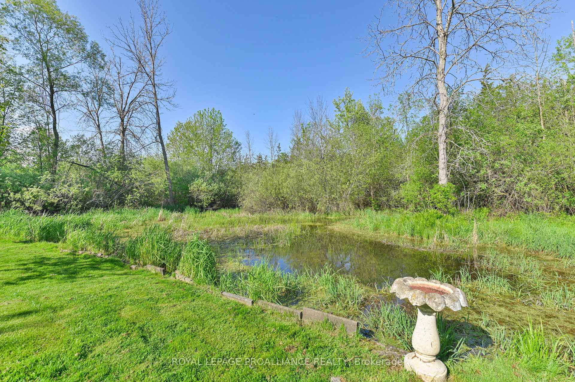 Photo 27 of 103 Marshall Road, Belleville, Belleville Ward — HOMEH