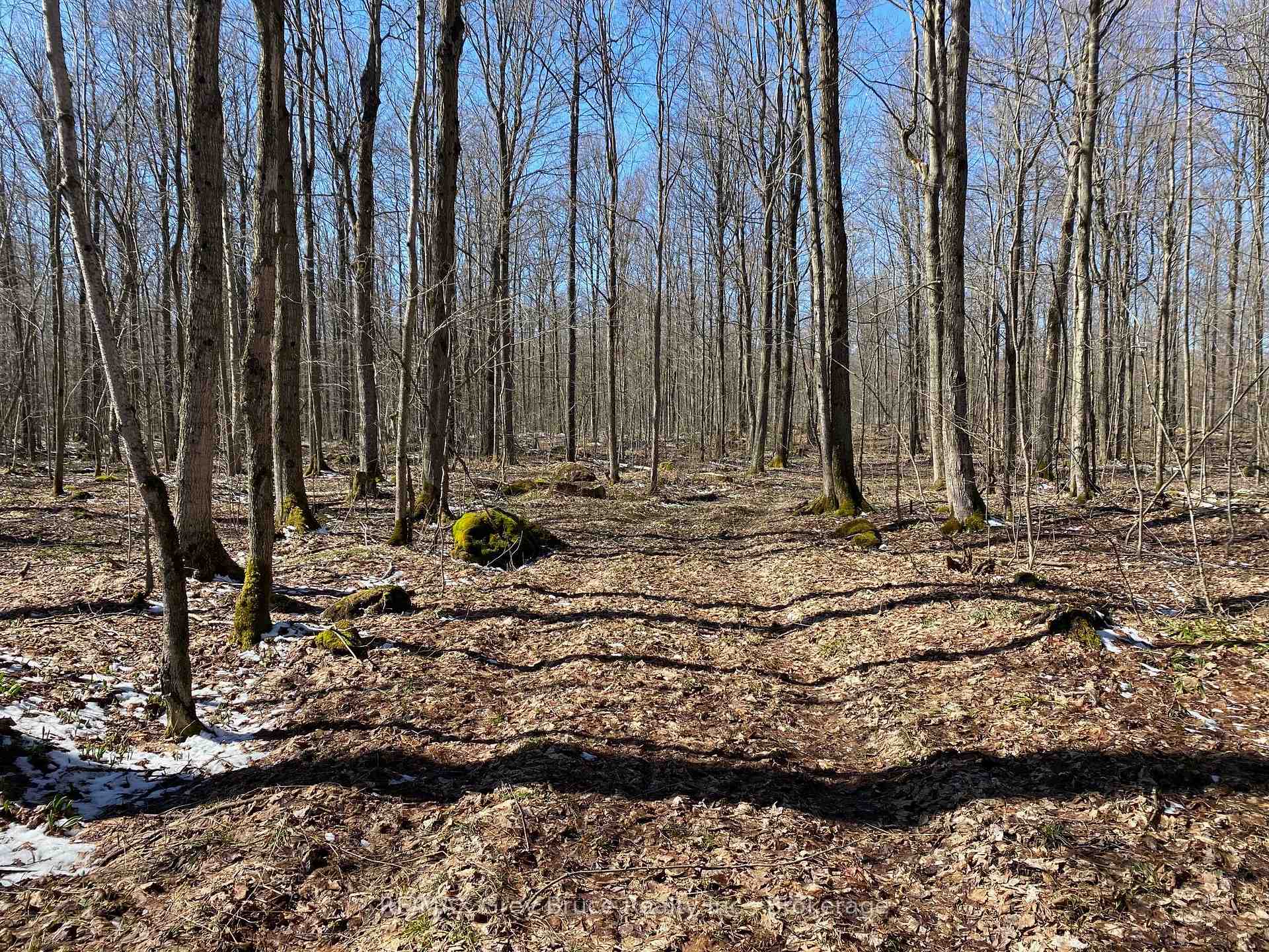 Photo 13 of Sideroad 6 Side Road, Meaford — HOMEH