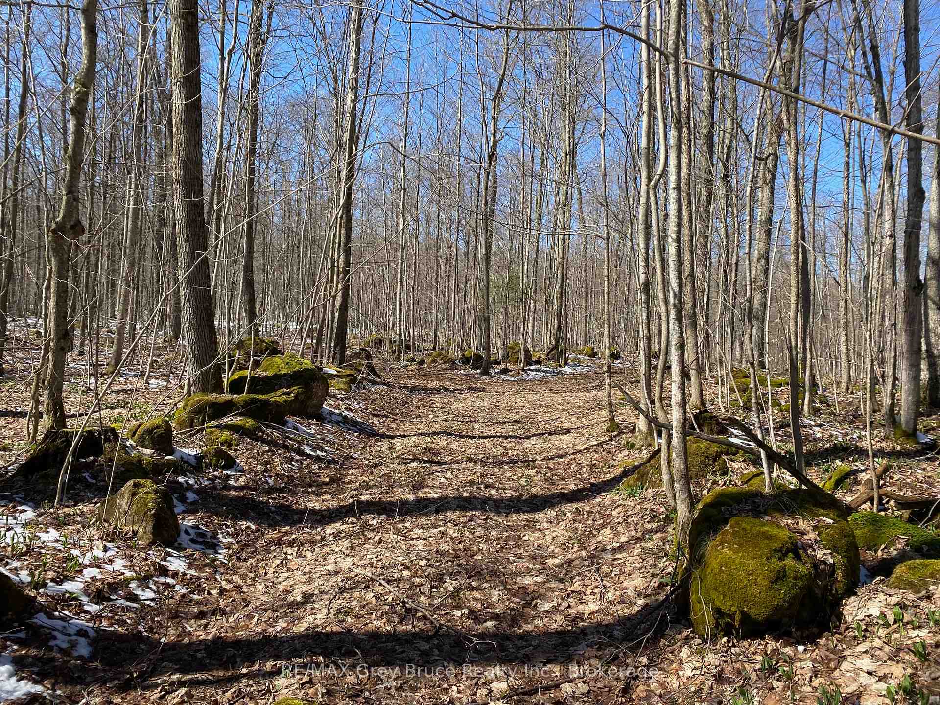 Photo 11 of Sideroad 6 Side Road, Meaford — HOMEH