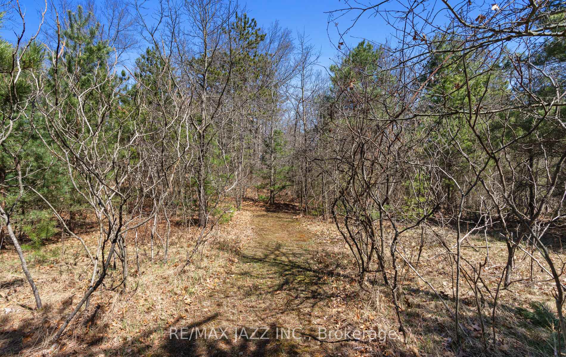 Photo 37 of 295 Clarkson Road, Cramahe, Rural Cramahe — HOMEH