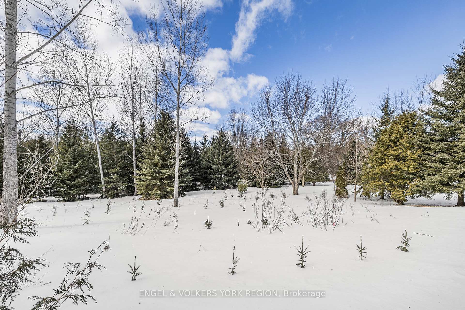 Photo 39 of 46 Ballymore Drive, Aurora, Bayview Wellington — HOMEH