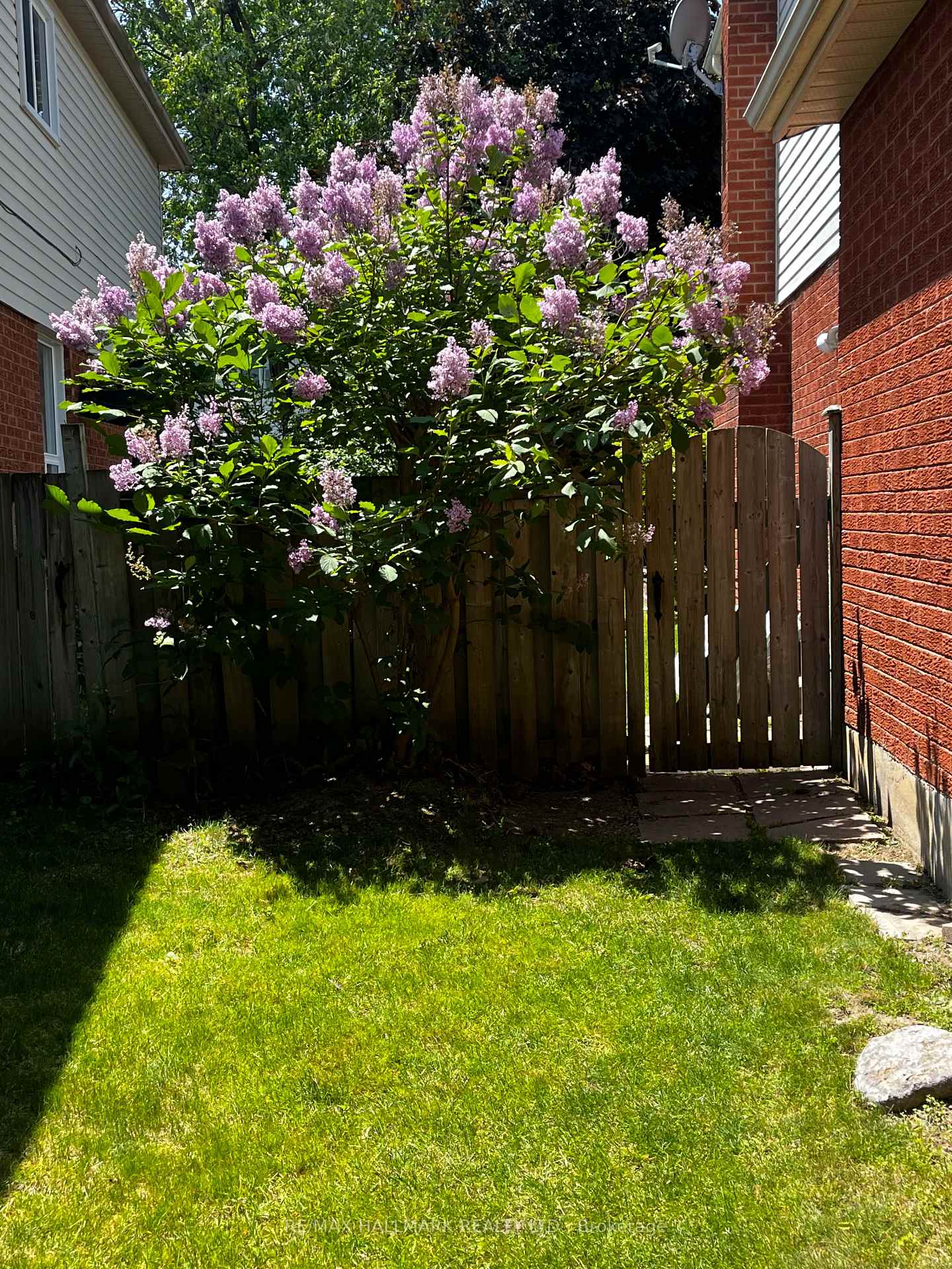 Photo 46 of 83 Lipton Crescent, Whitby, Pringle Creek — HOMEH