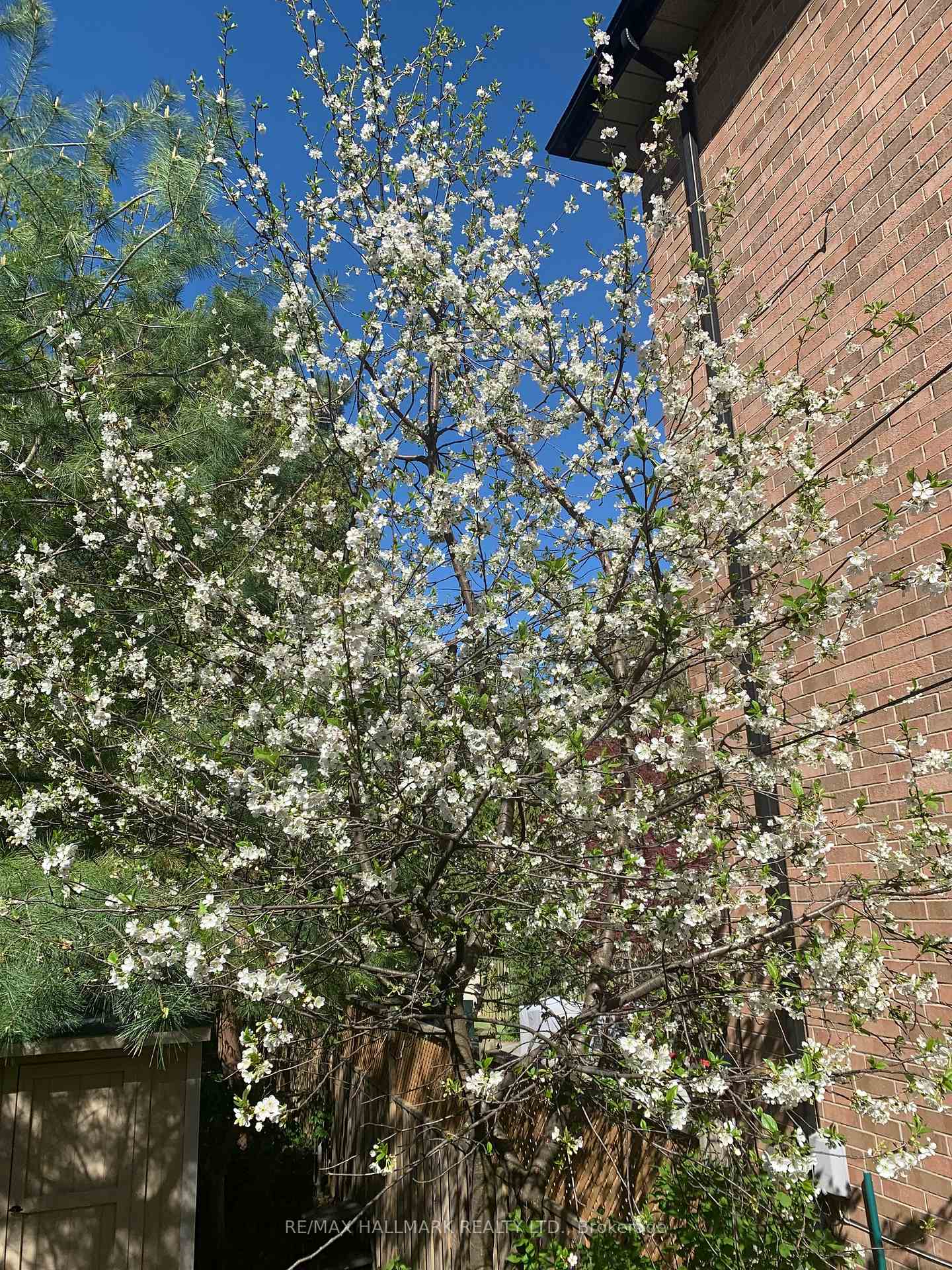 Photo 34 of 288 Forman Avenue, Toronto, Mount Pleasant East — HOMEH