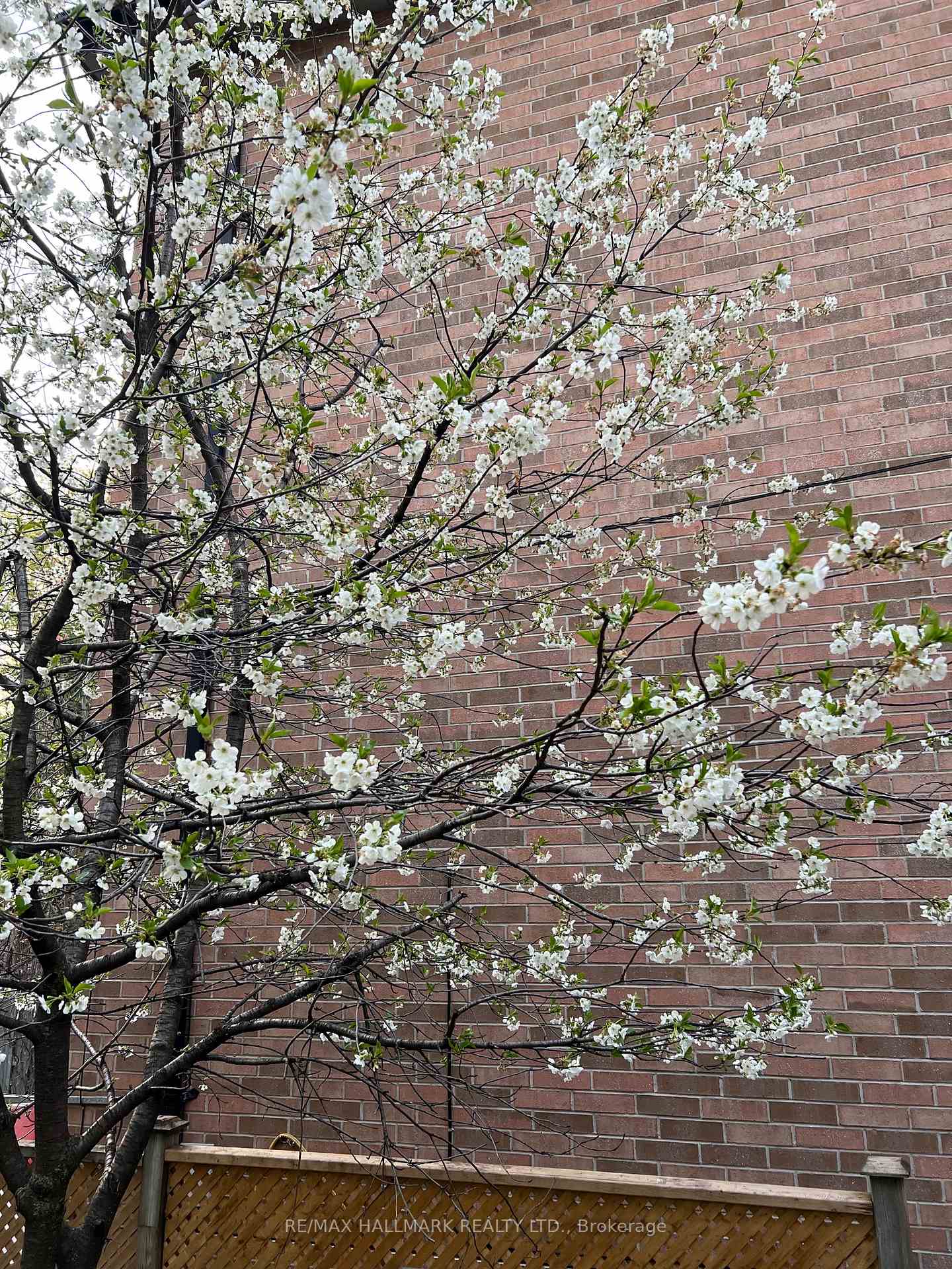 Photo 31 of 288 Forman Avenue, Toronto, Mount Pleasant East — HOMEH